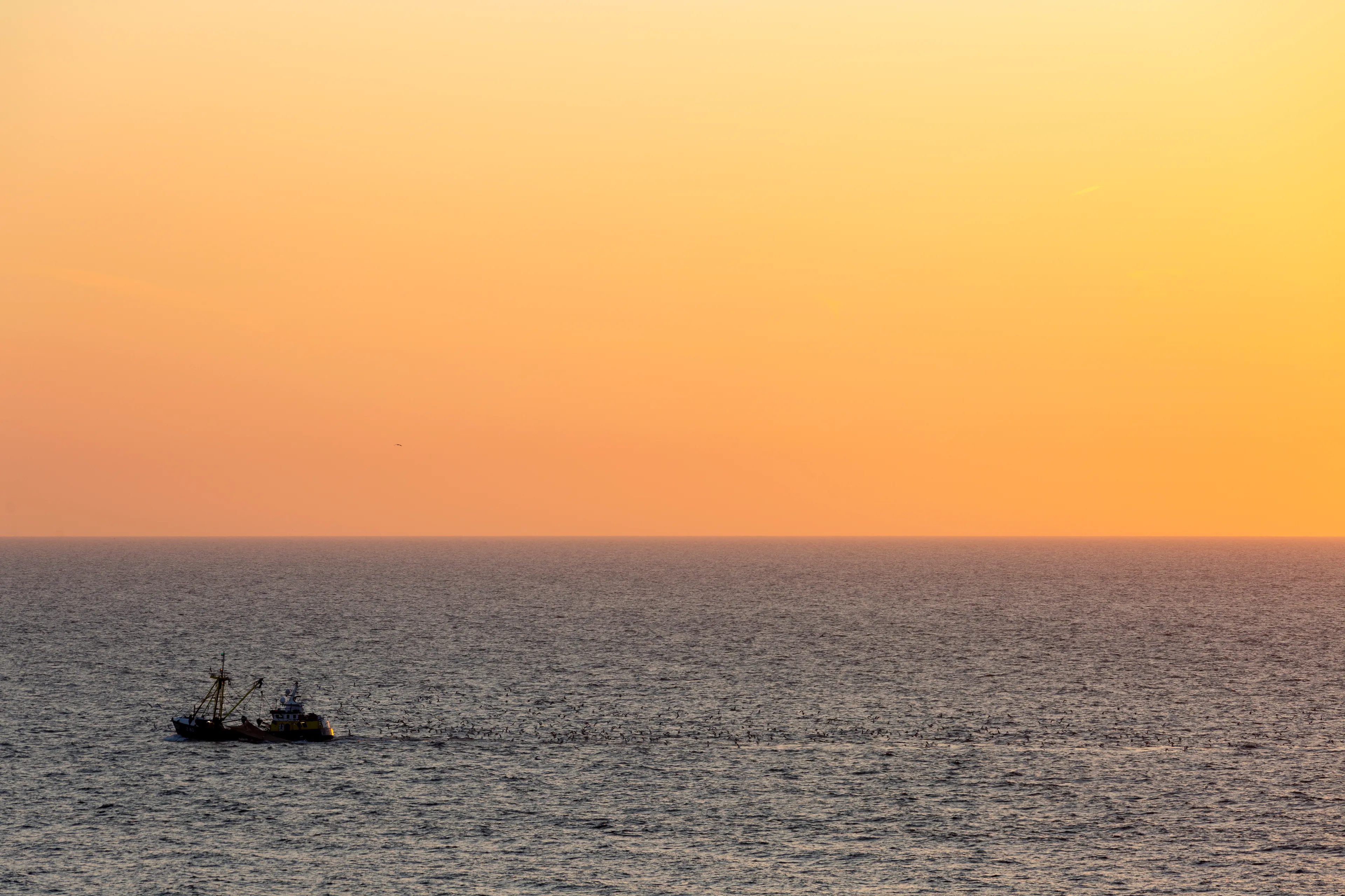 Urker viskotter gezonken voor de Franse kust, bemanning is gered