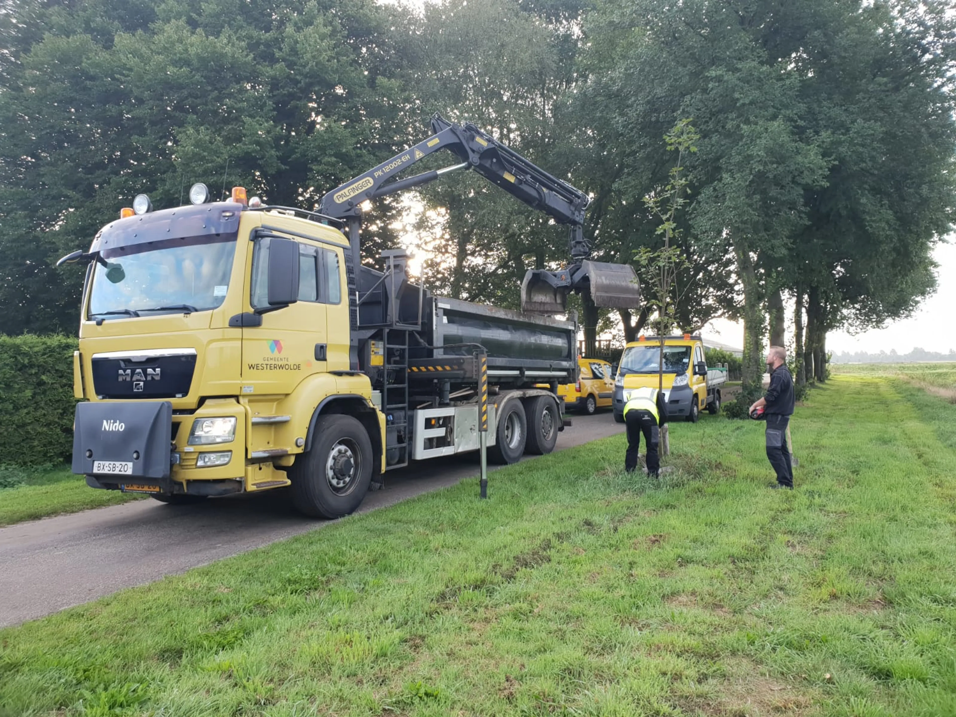Gemeente haalt dodelijke bomen weg bij manege in Ter Apel