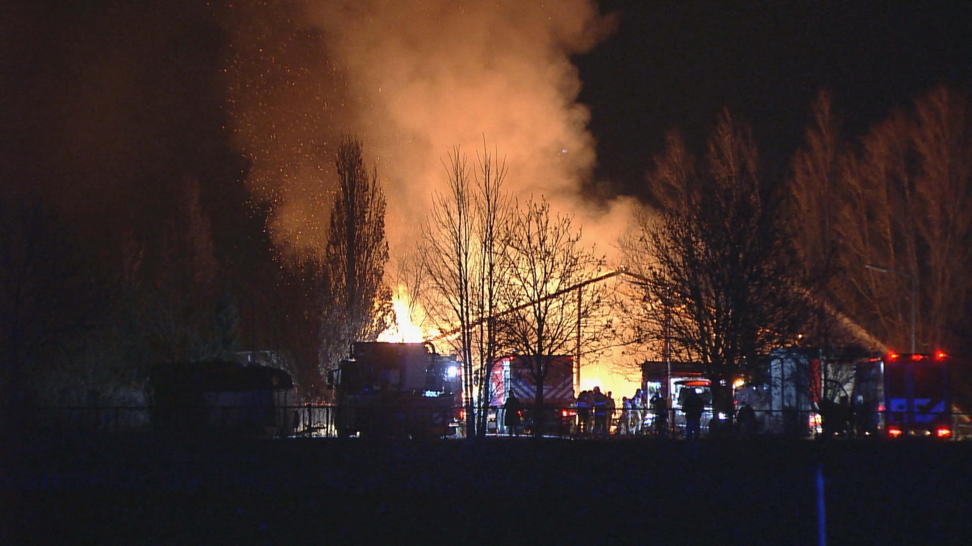 Manege in Lelystad door brand verwoest, tientallen paarden aan dood ontsnapt