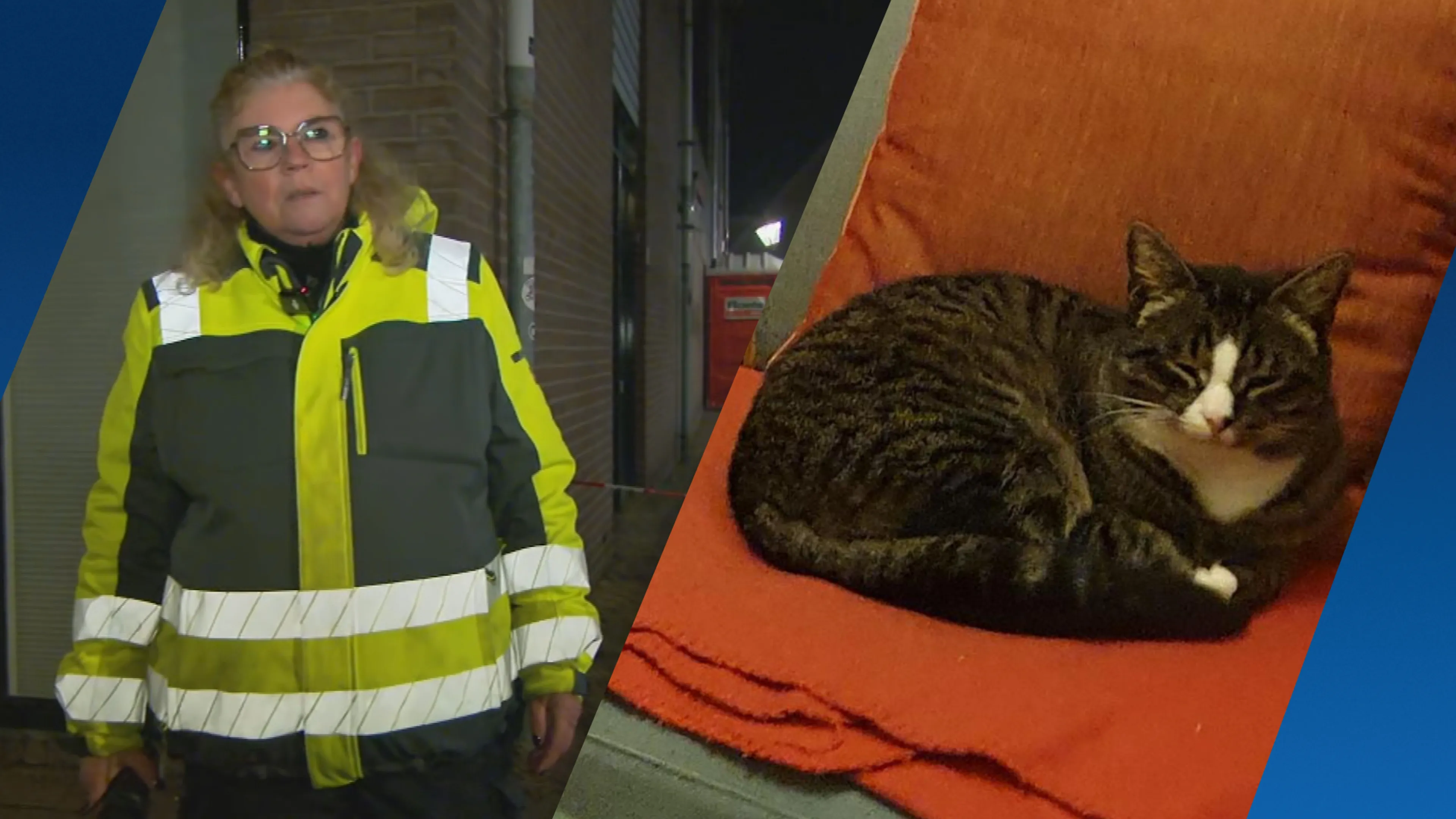 Vermiste katten na explosie Utrecht nog in leven: zoektocht naar Cara, Doerak en Kerel