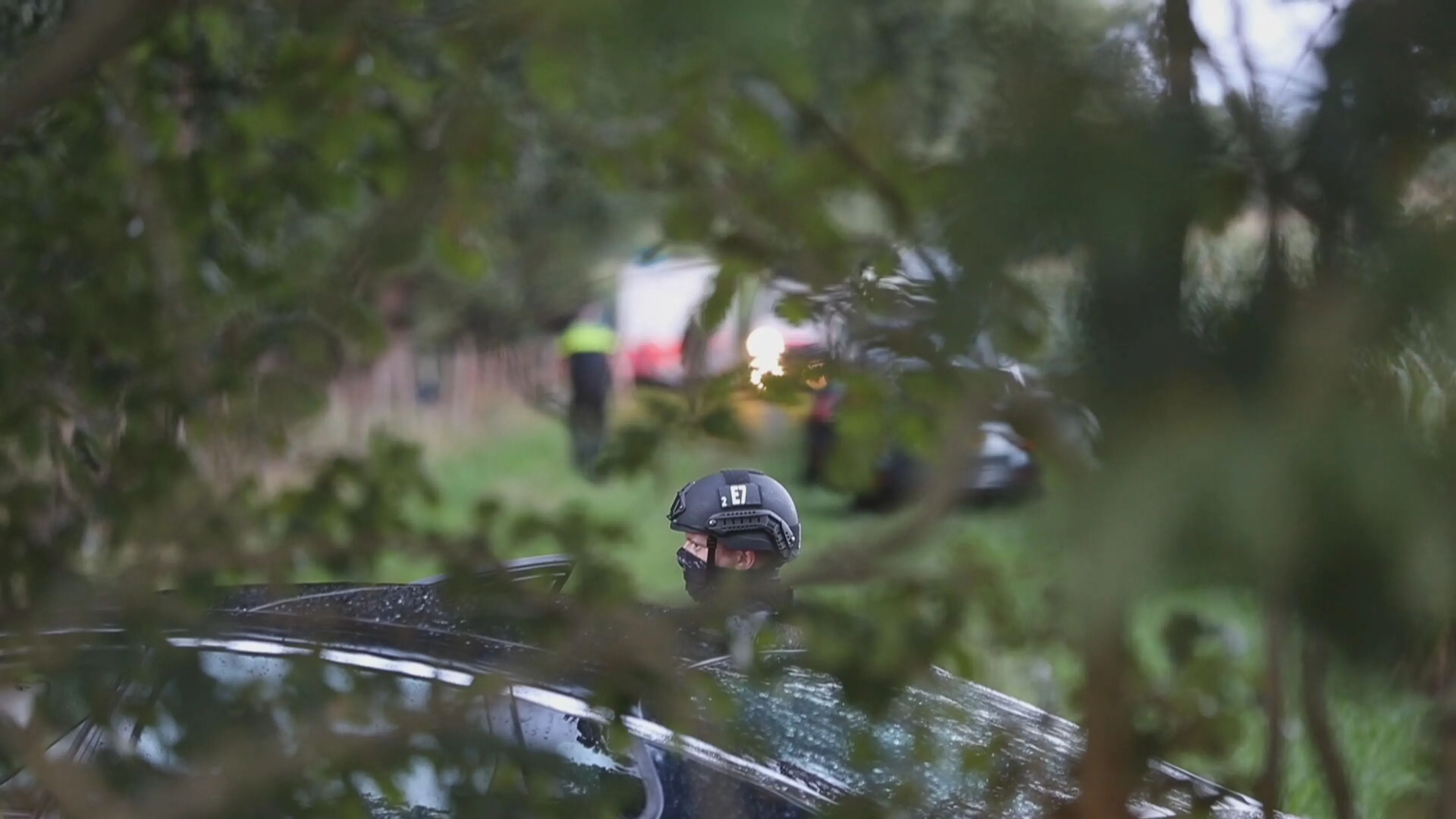Politie neemt wapens in beslag op bosperceel in Zwolle