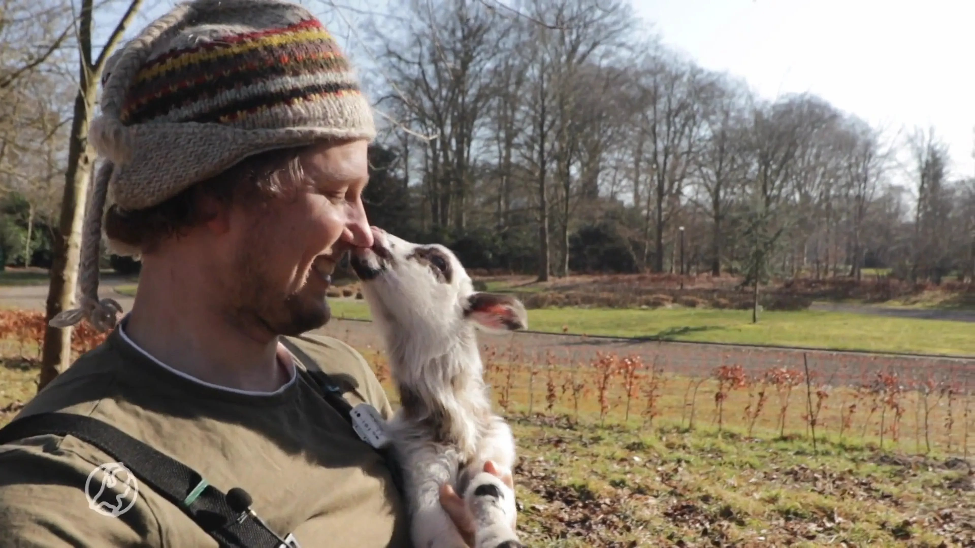 Vloggende schaapsherder Daniël vermaakt je in coronatijd met Lammetjes Televisie