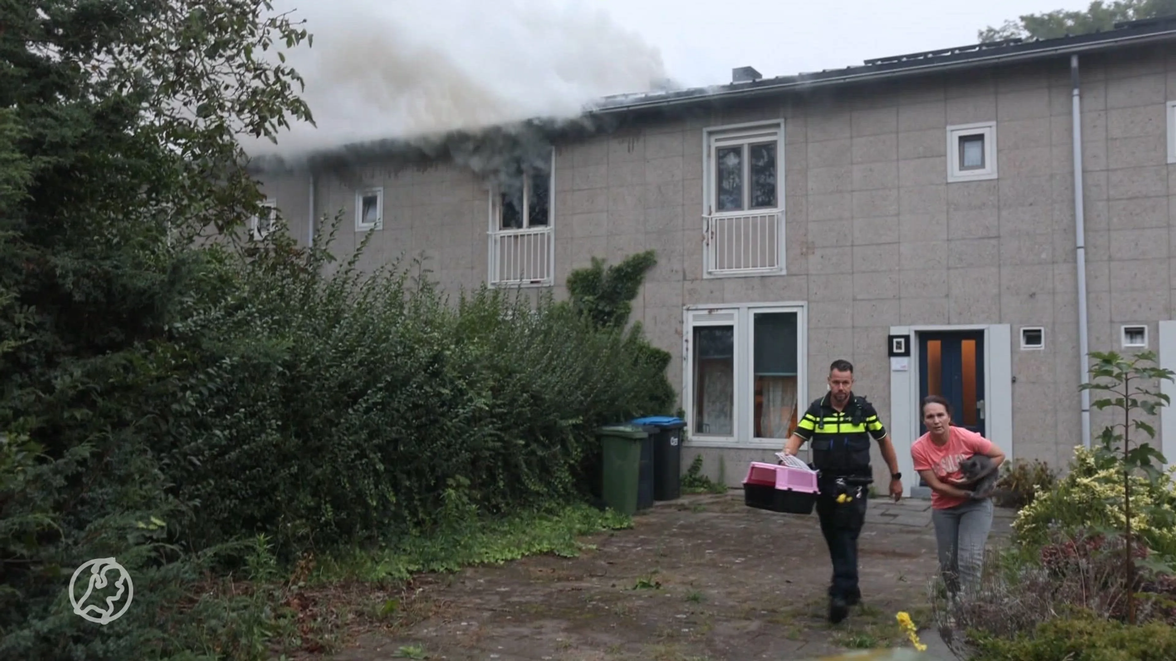 Hond uit woning gered bij uitslaande brand Eindhoven