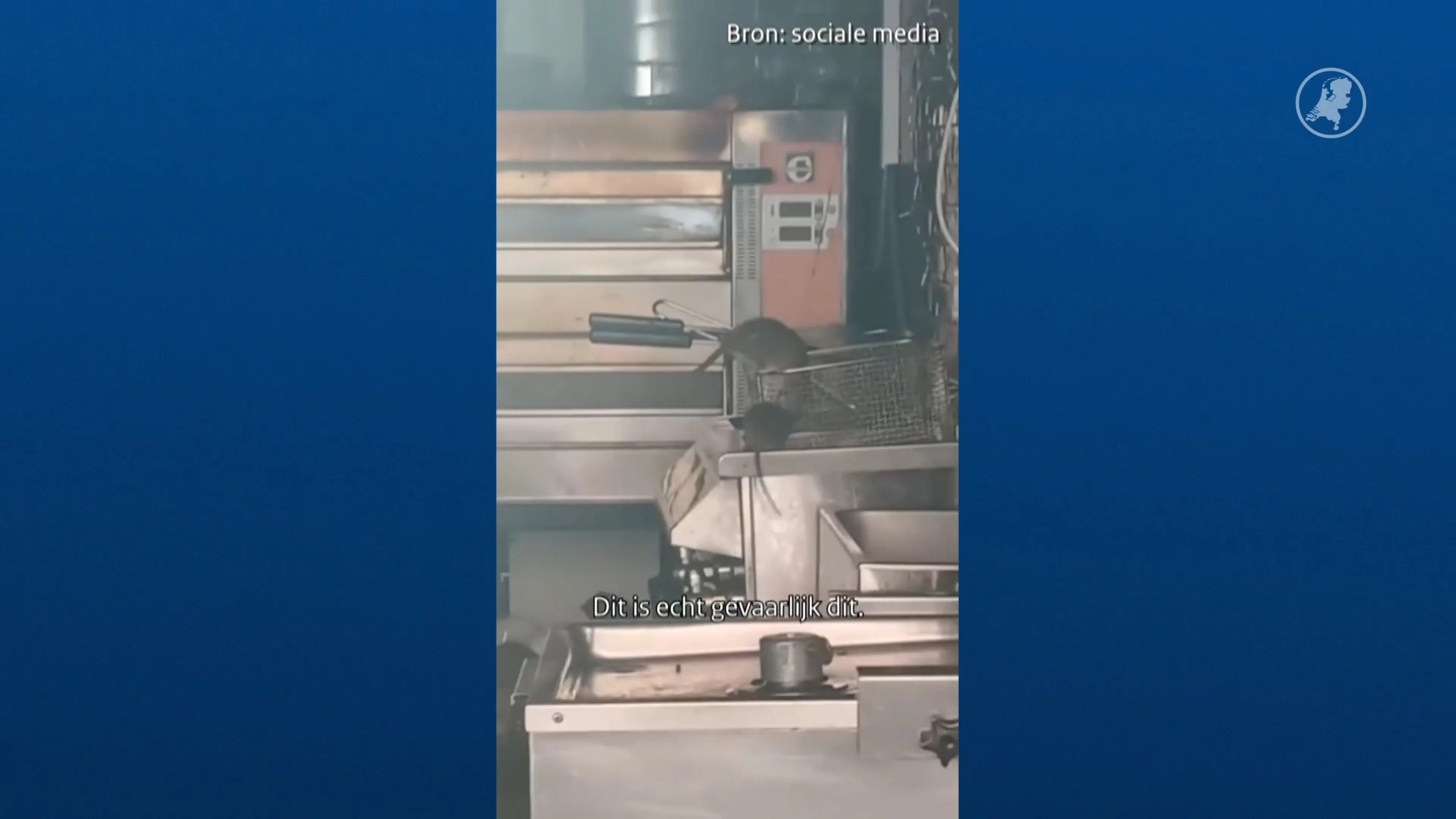 Restaurant dicht na enorme rattenplaag: 'Aantal sluitingen neemt toe'