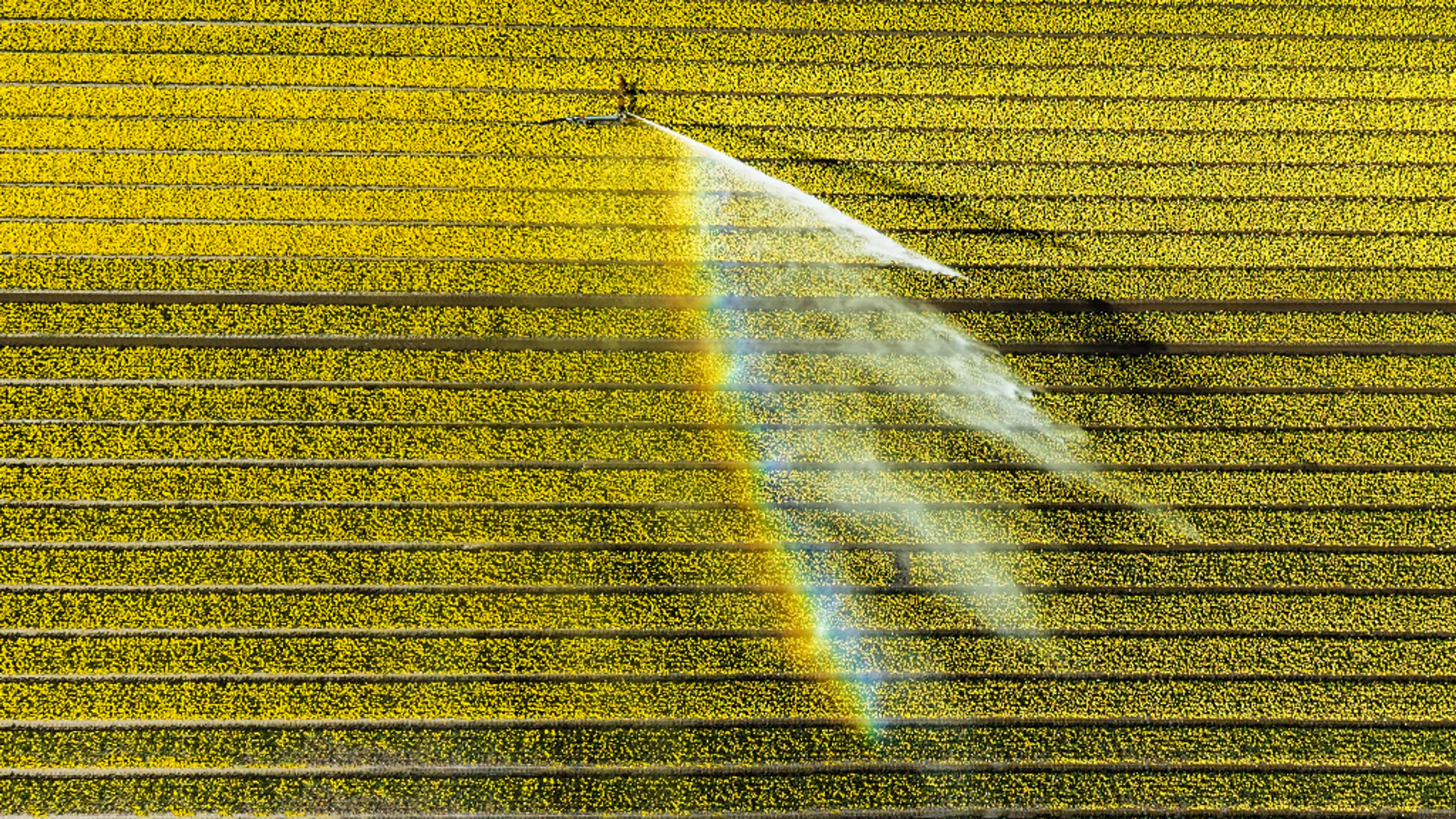 Lente van 2026 in top vijf van warmste ooit