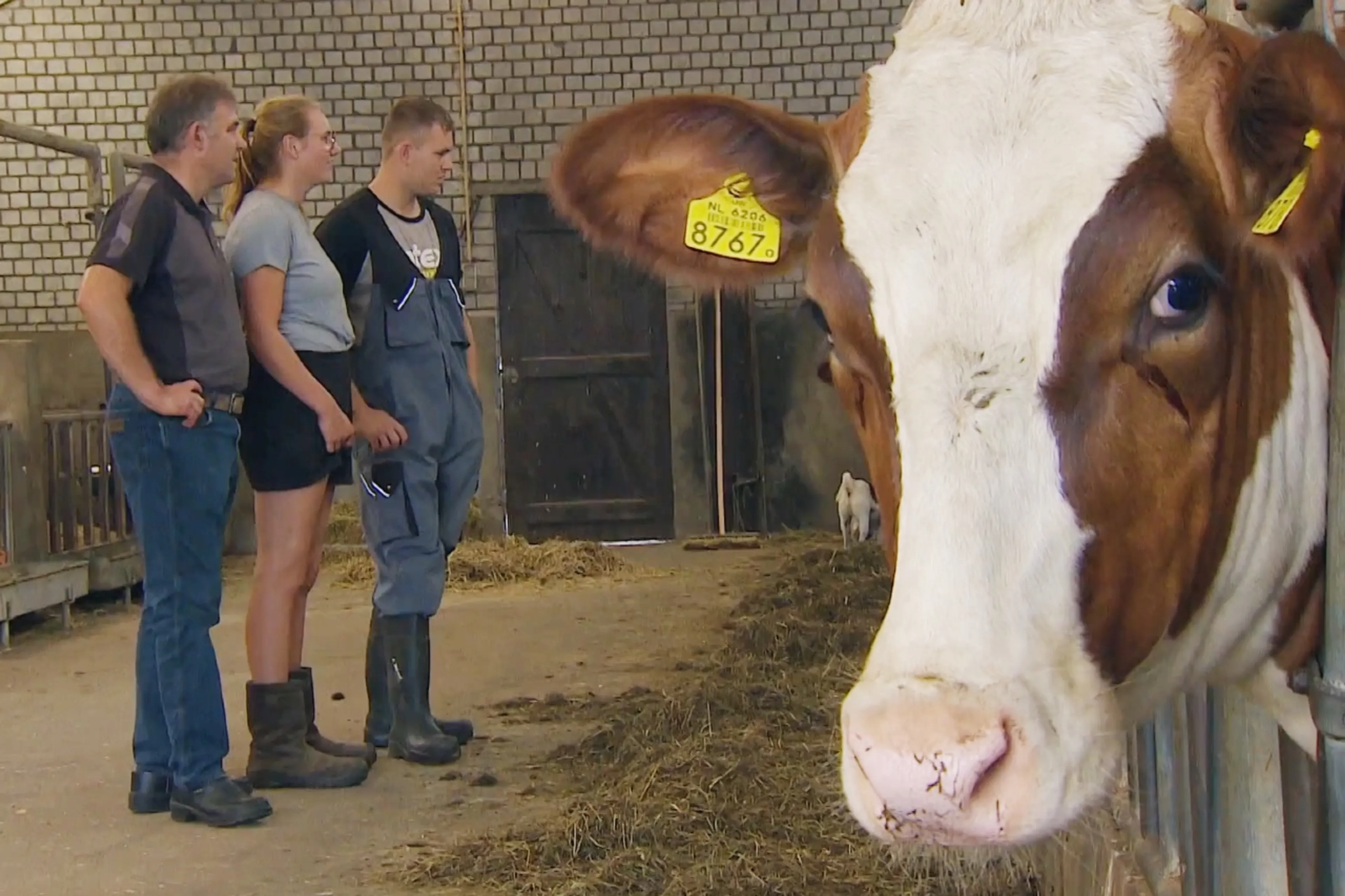 Boer Leo in spagaat: hij wil wél investeren om uitstoot te verminderen maar krijgt geen lening