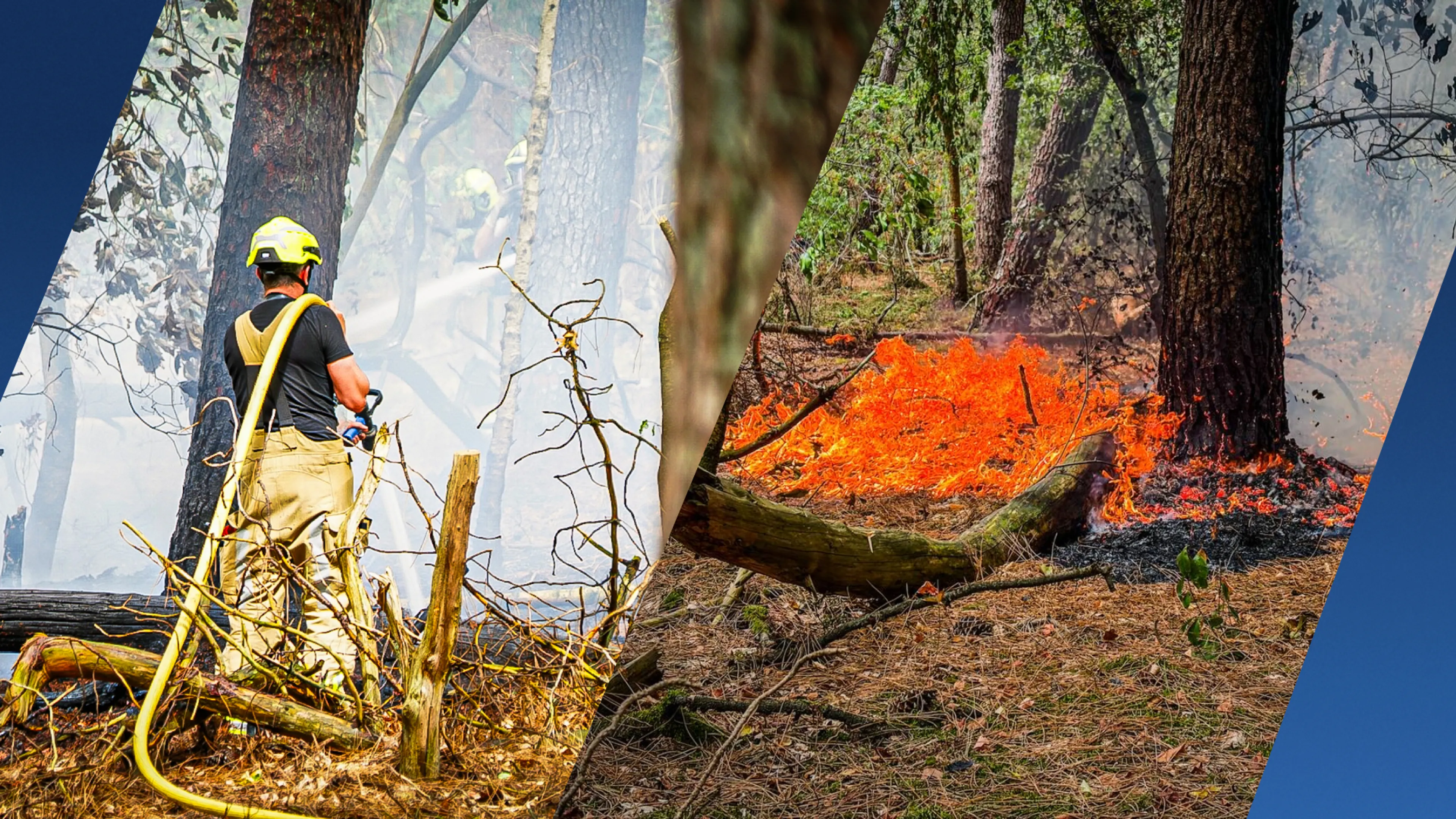 Politie vermoedt brandstichting bij natuurbranden in Wijchen