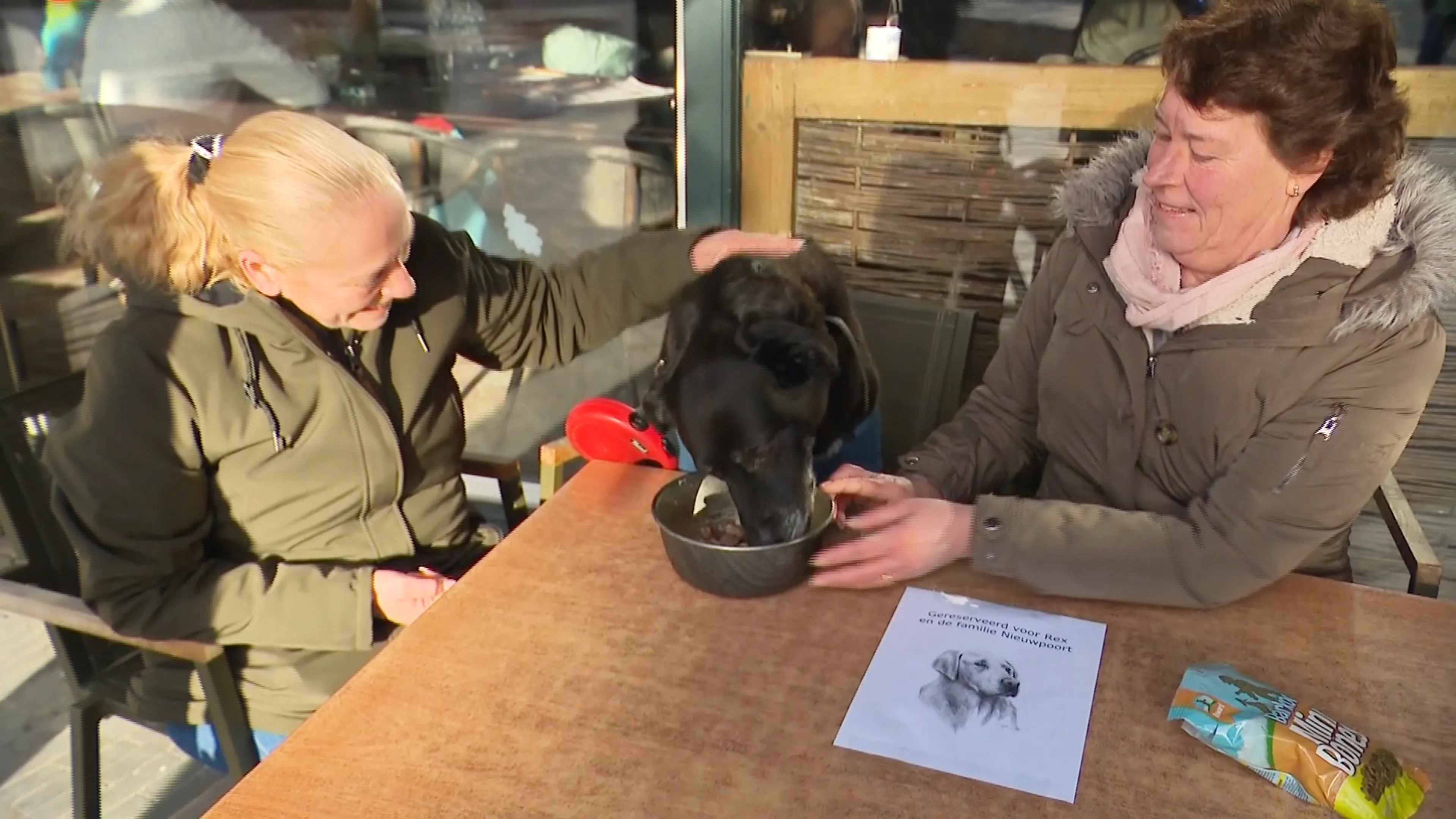 Steeds meer over voor huisdier: baasje organiseert 'afscheidsdiner' voor bejaarde hond Rex