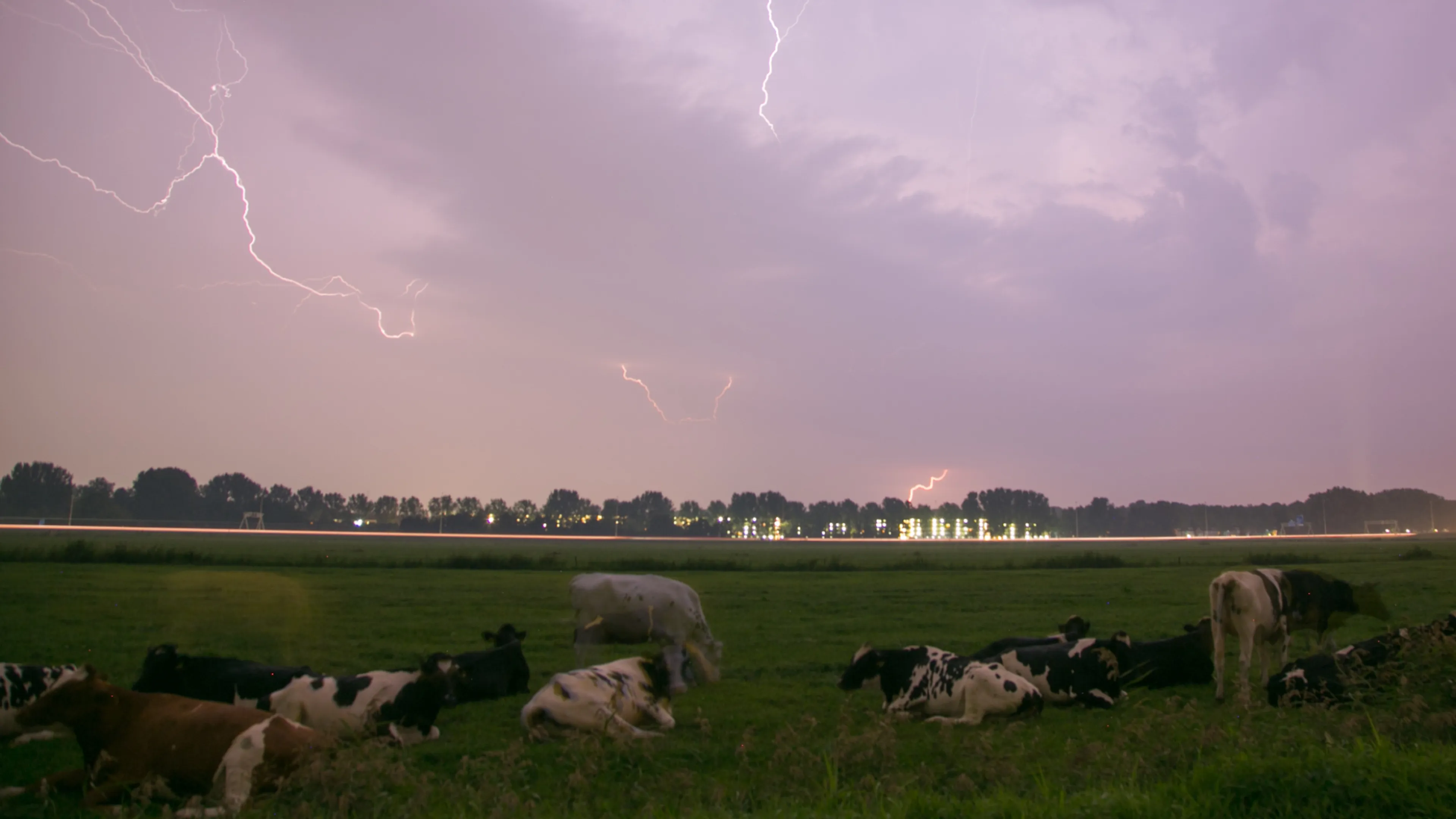Code geel: KNMI waarschuwt in helft land voor onweer, hagel en zware neerslag