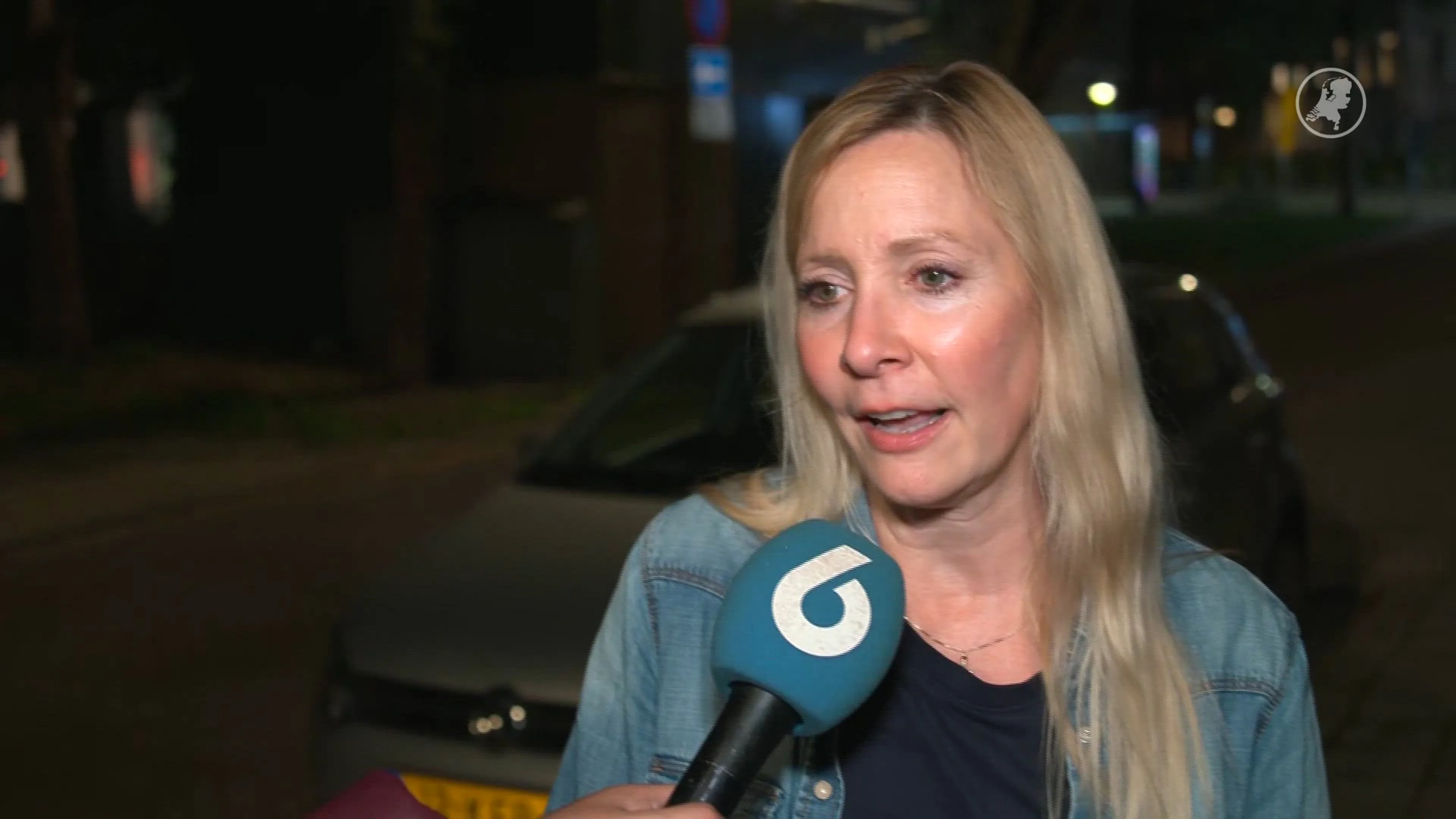 Brisa, Buddy en twee andere honden overleden na wandeling in Schiedams park