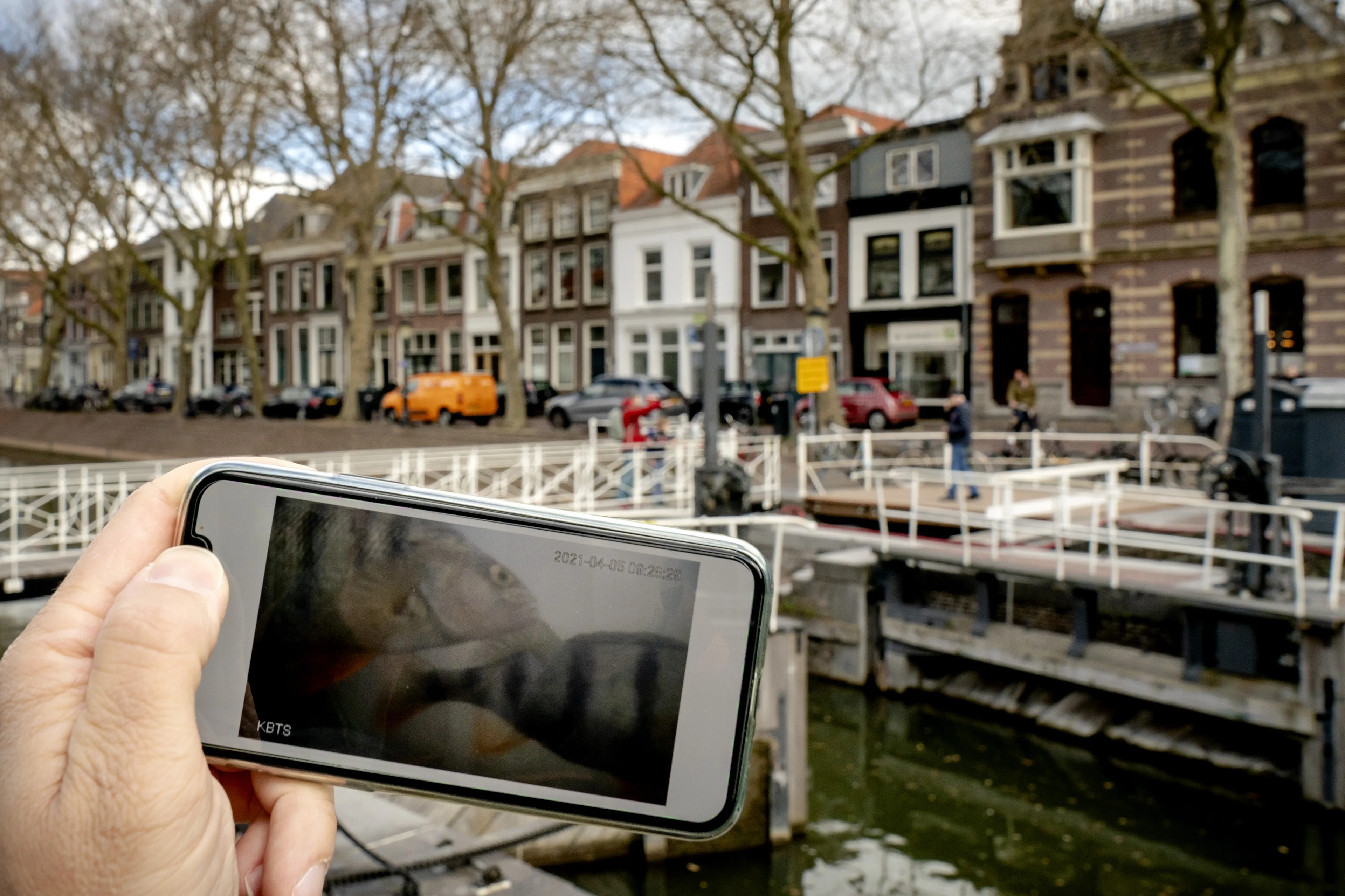 Grote drukte bij visdeurbel, website kan belangstelling niet meer aan