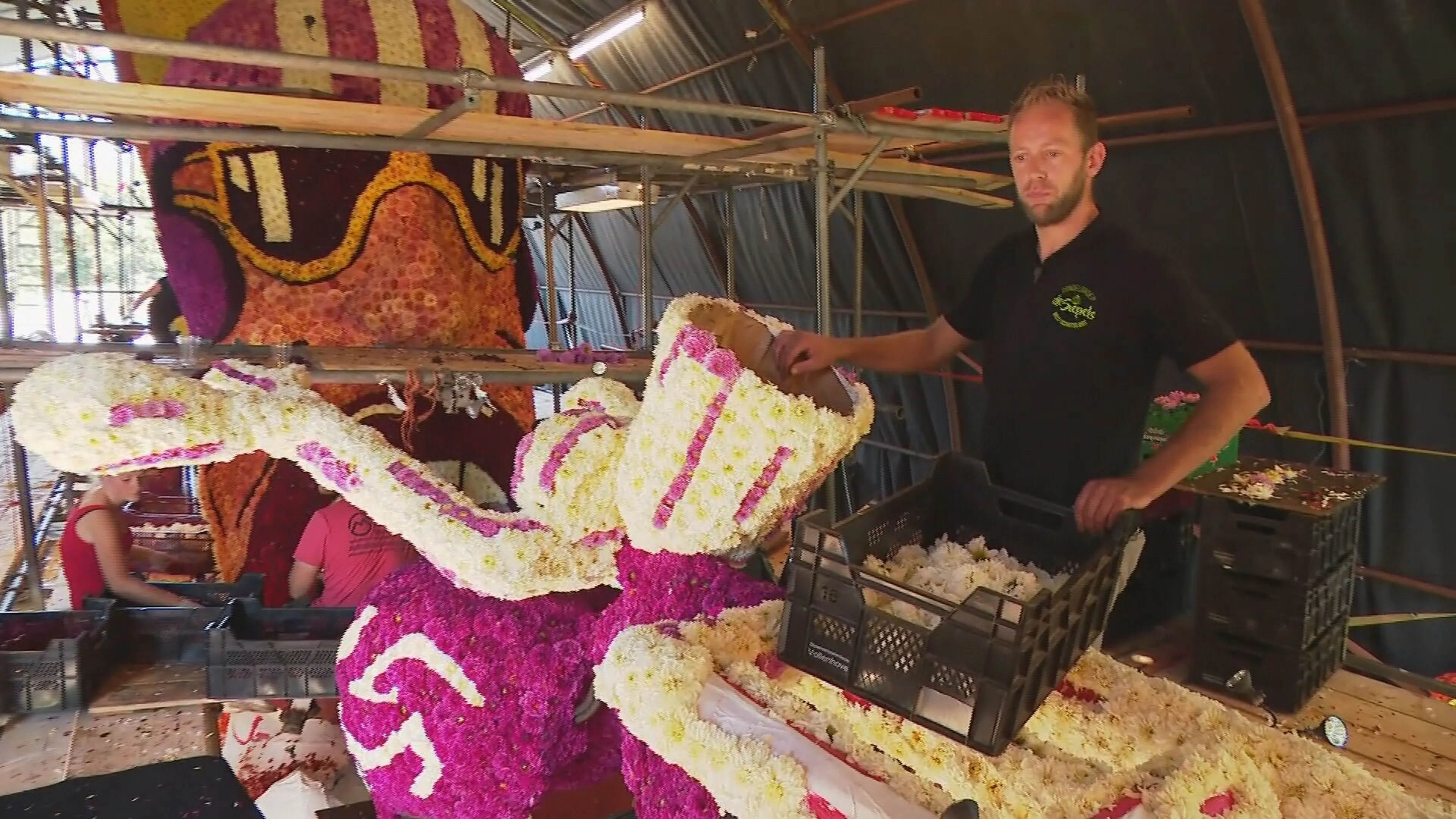 Belt-Schutsloot bijna klaar voor legendarische Gondelvaart: na twee jaar kan het eindelijk weer