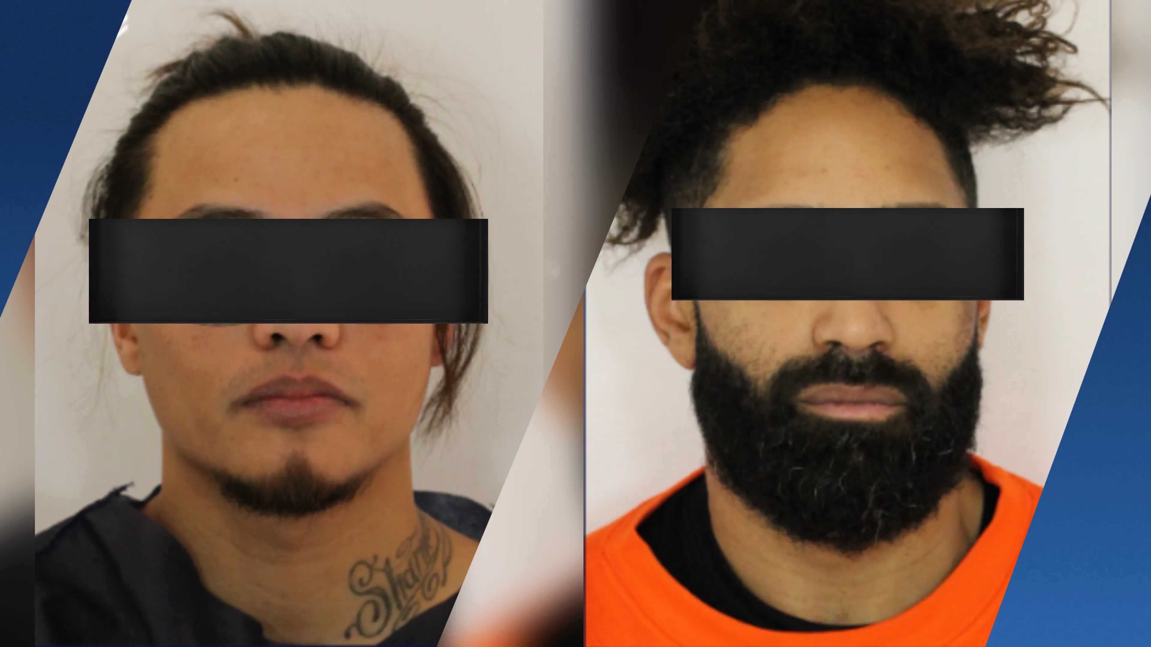 Politie deelt foto's en namen opgepakte verdachten kunstroof