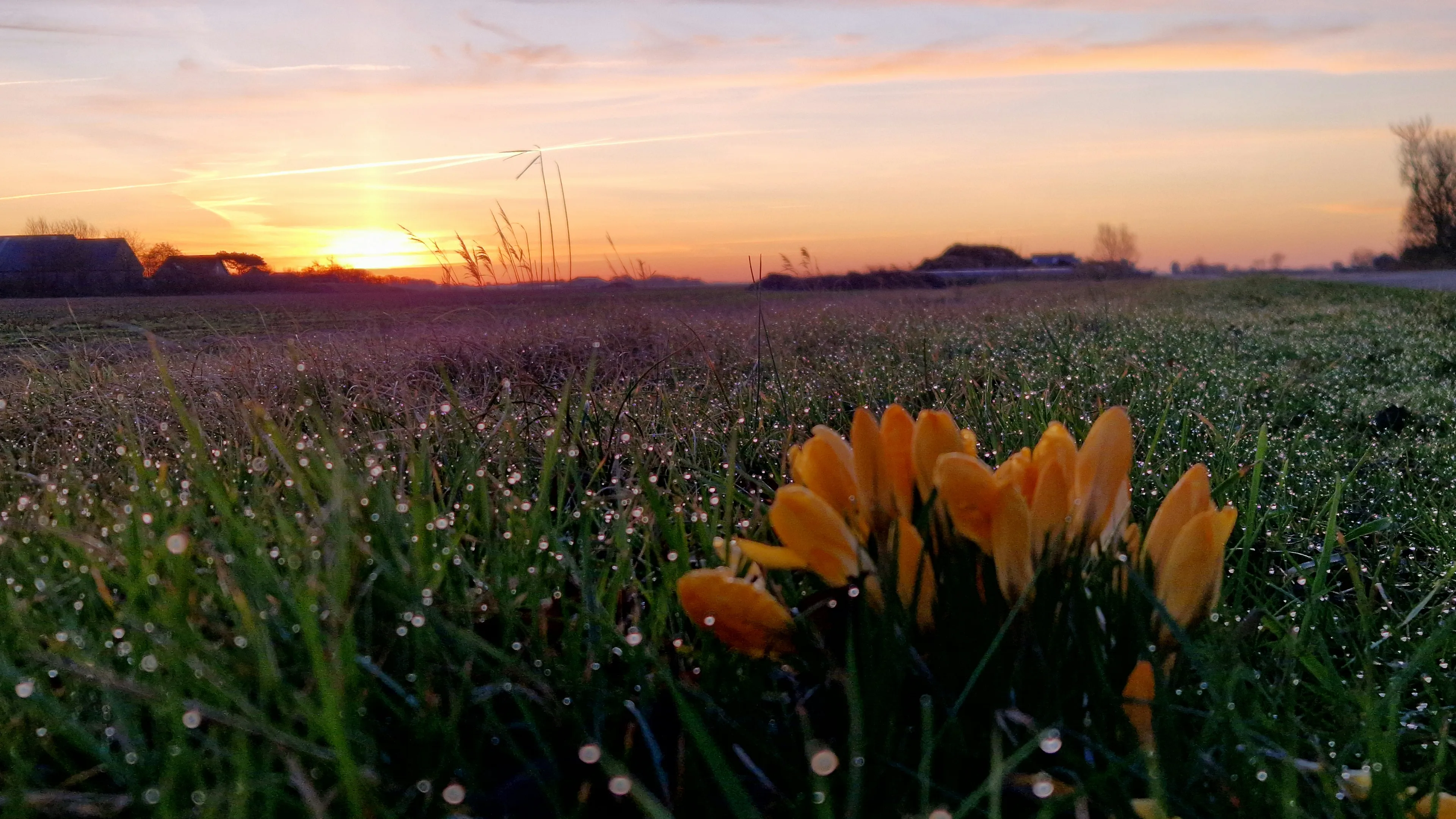 Lente barst los: zon en tot 18 graden in aantocht