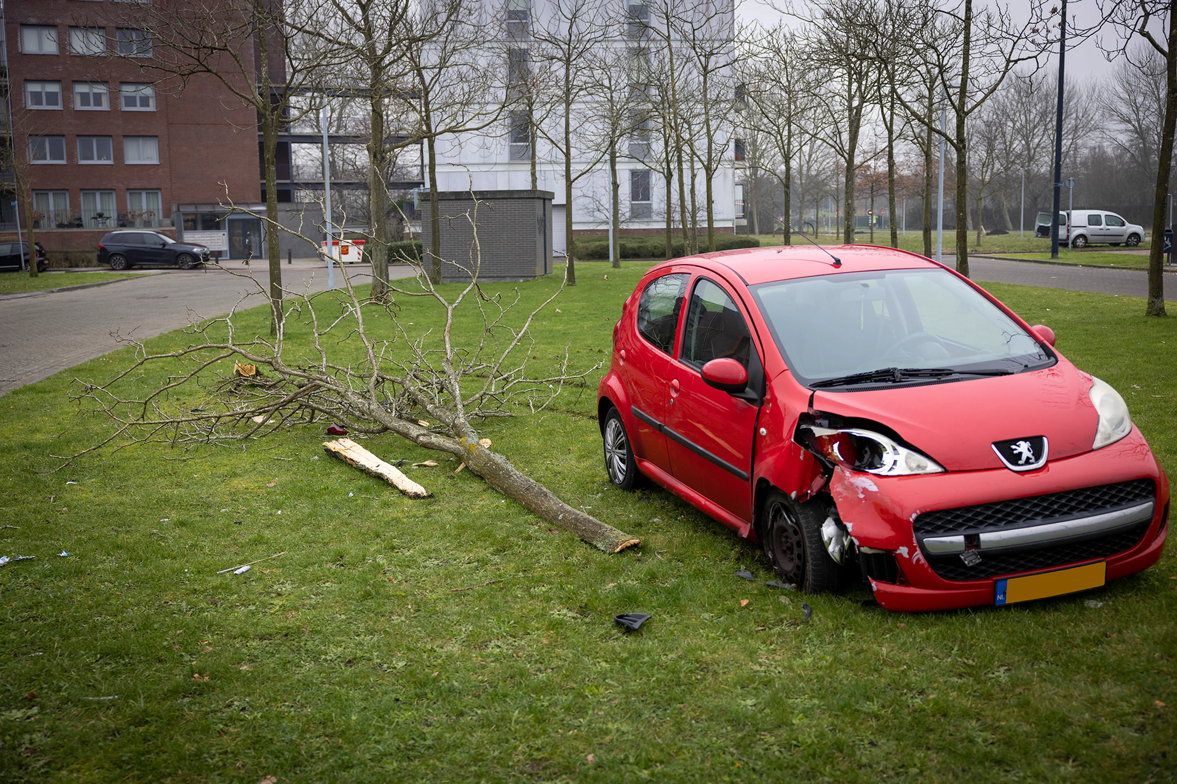 Twee kinderen pakken auto en raken gewond bij crash tegen boom