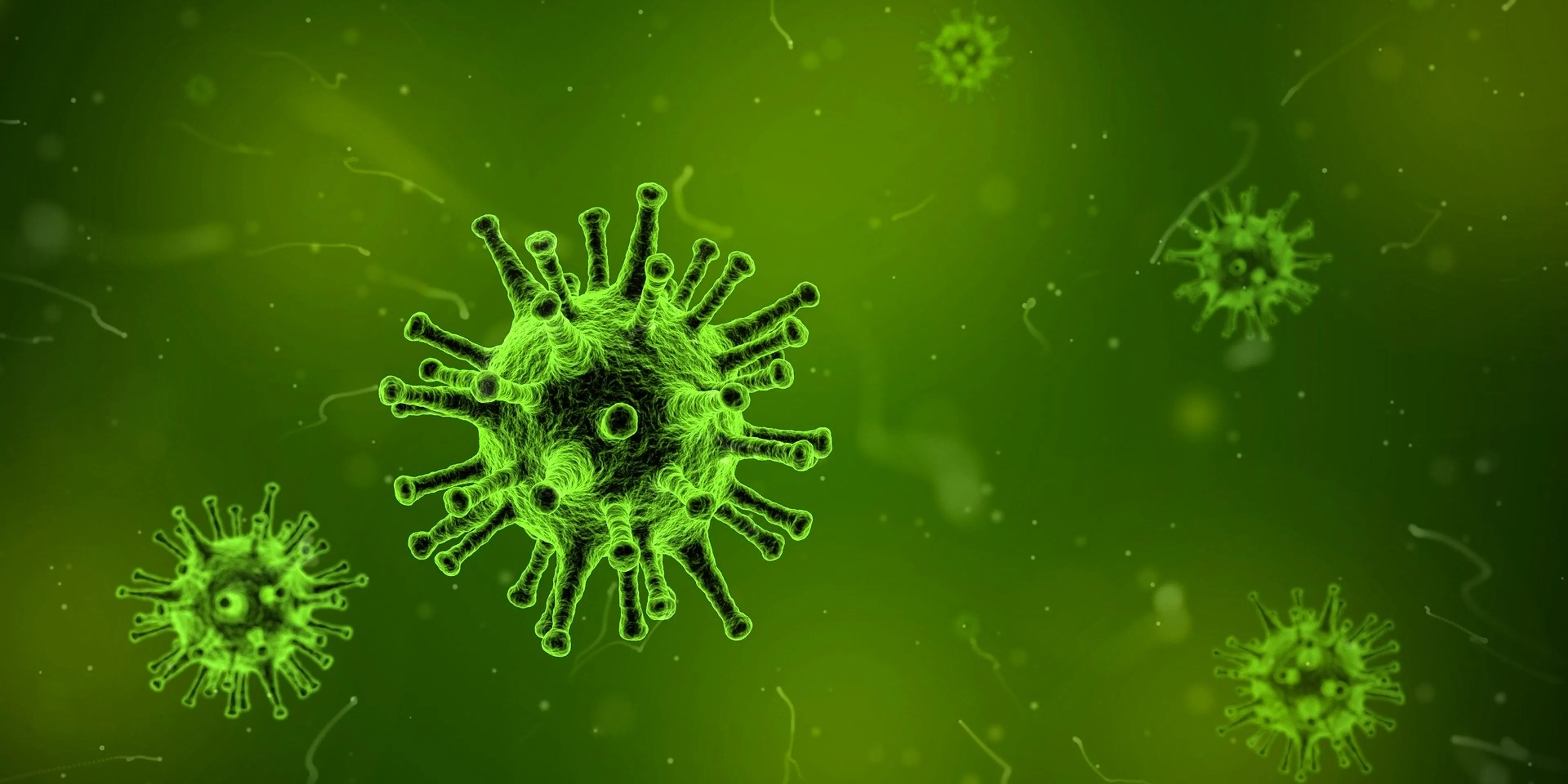 Dodelijk Nipah-virus waart rond in Azië: moeten we ons zorgen maken?