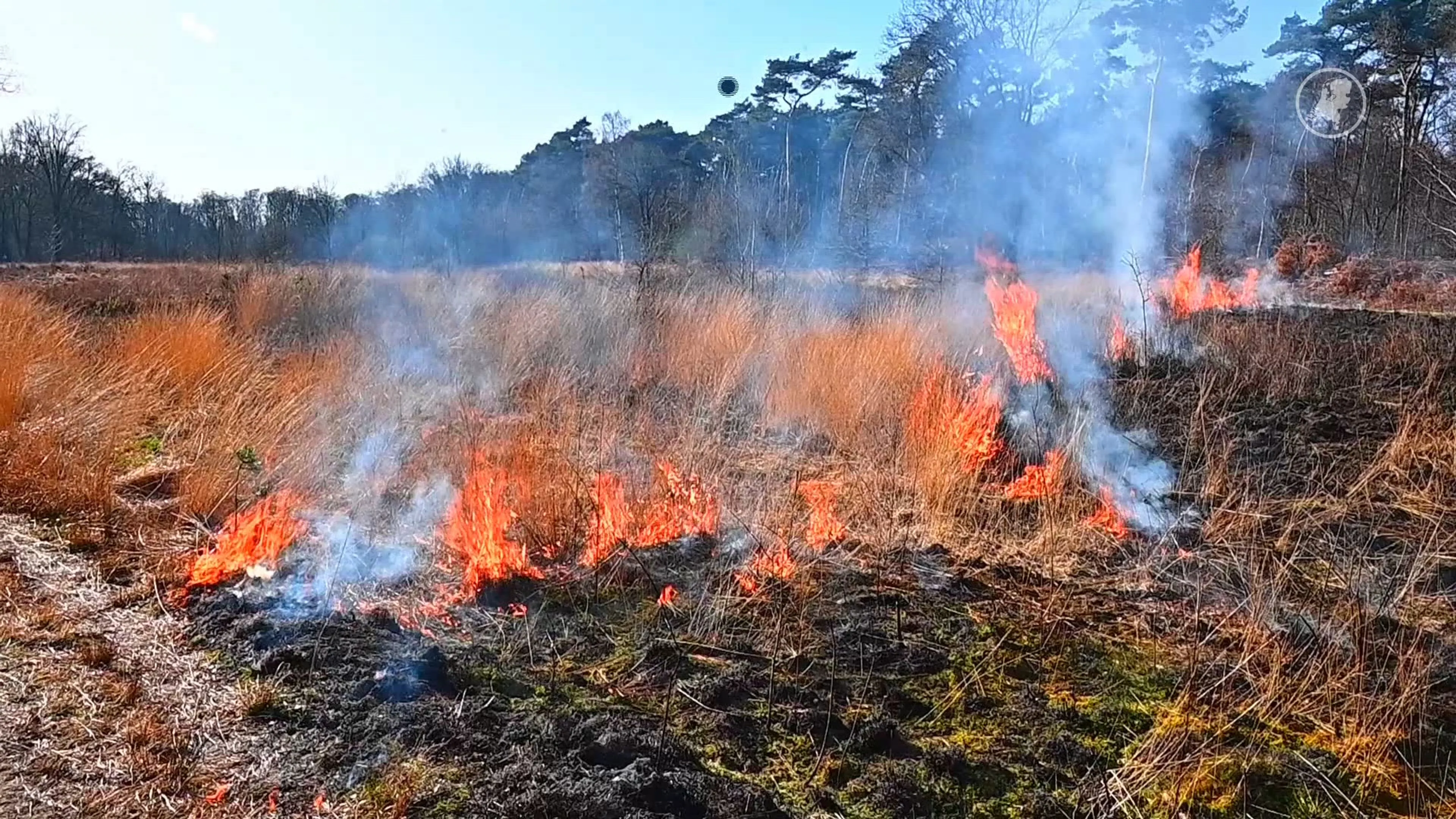 Brandweer rukt uit voor eerste droogtebrand van het jaar in Valkenswaard