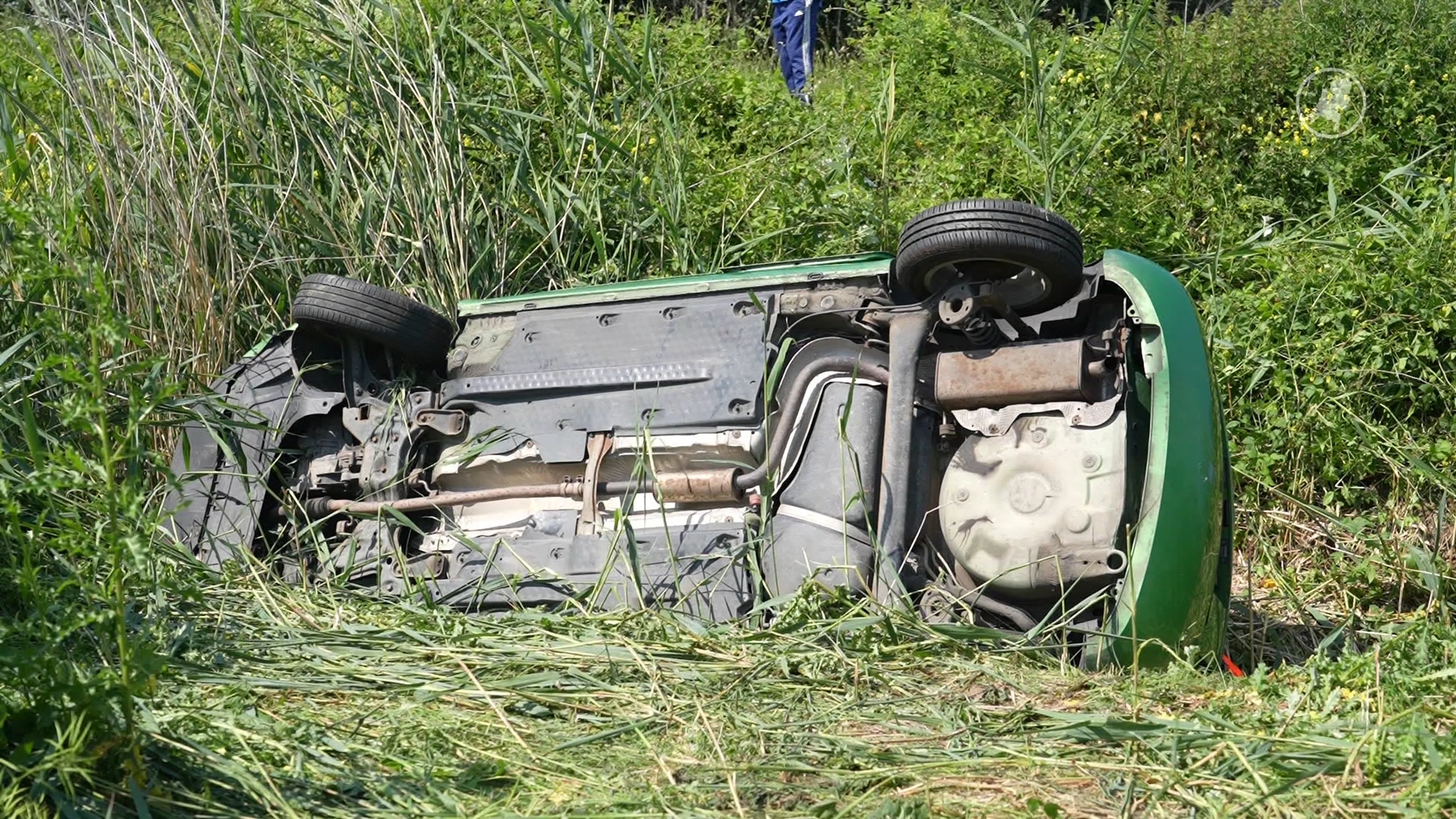 Persoon gewond en ree dood na uit de hand gelopen verkeersruzie op A59