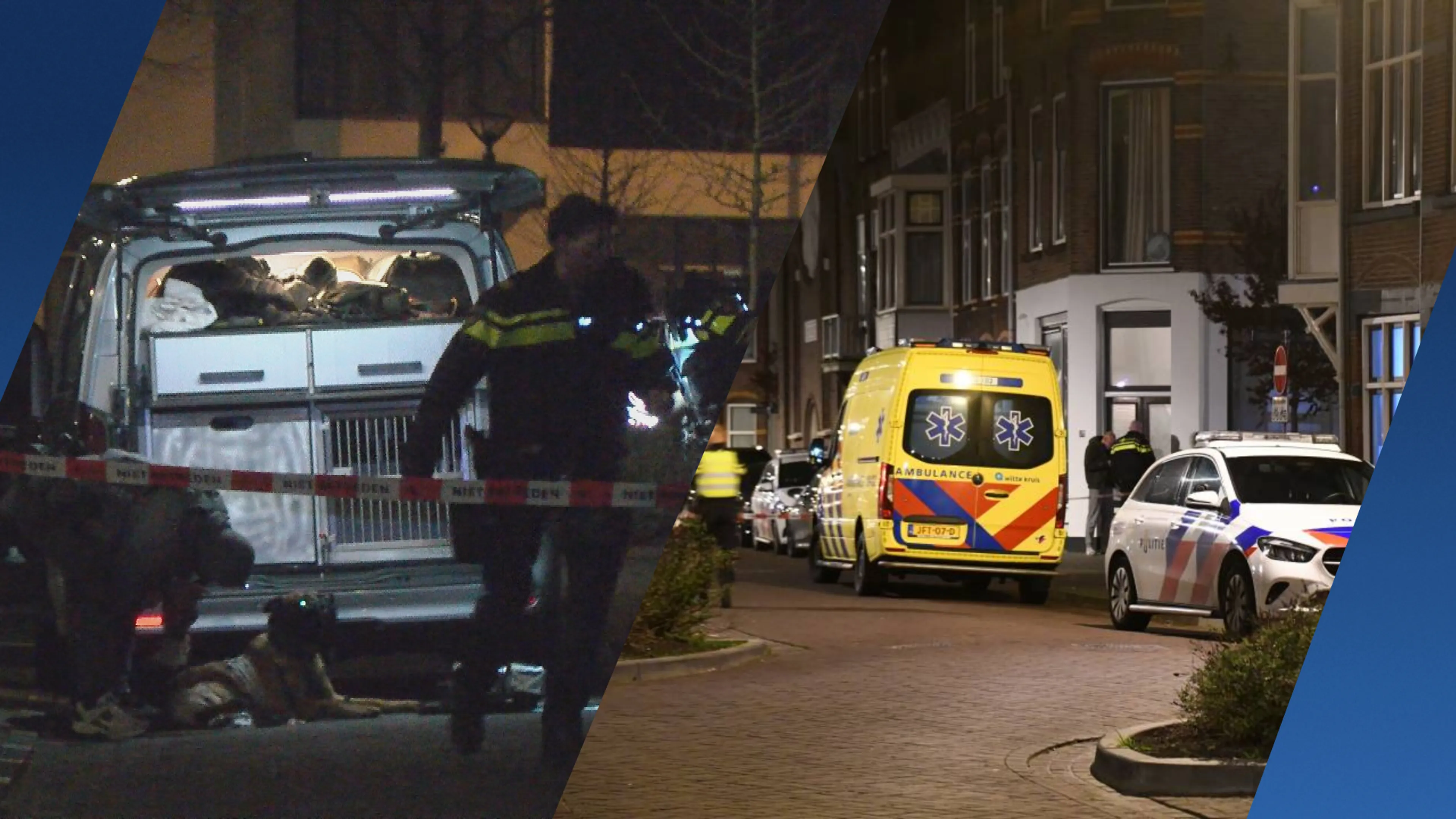 Politiehond gewond bij actie Vlissingen, schot gelost bij aanhouding