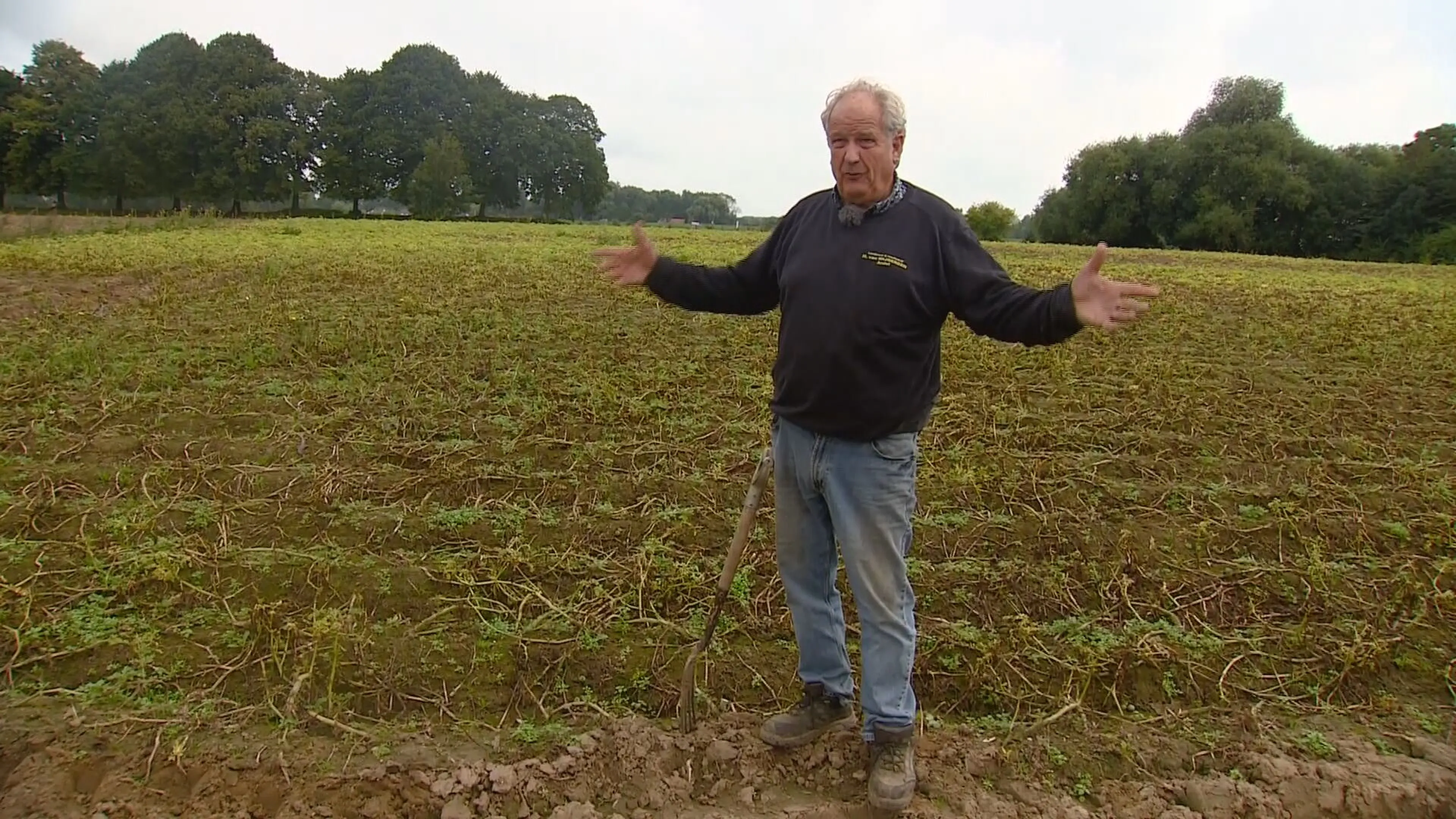 Brabantse boeren willen ook compensatie na overstromingen: 'Rivier stopt niet in Limburg'