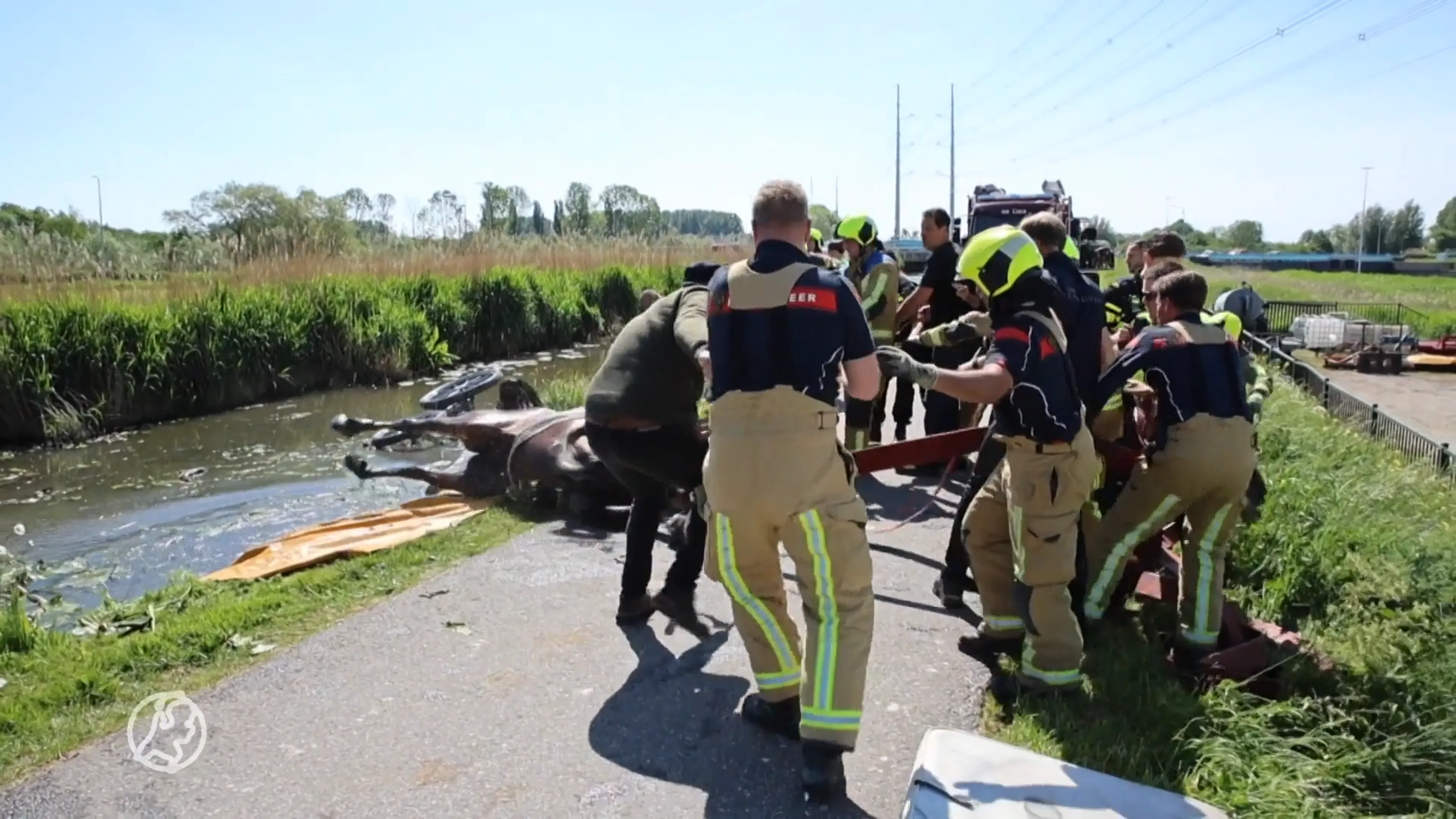 Paard en wagen te water in Den Hoorn, mensen en dieren gered