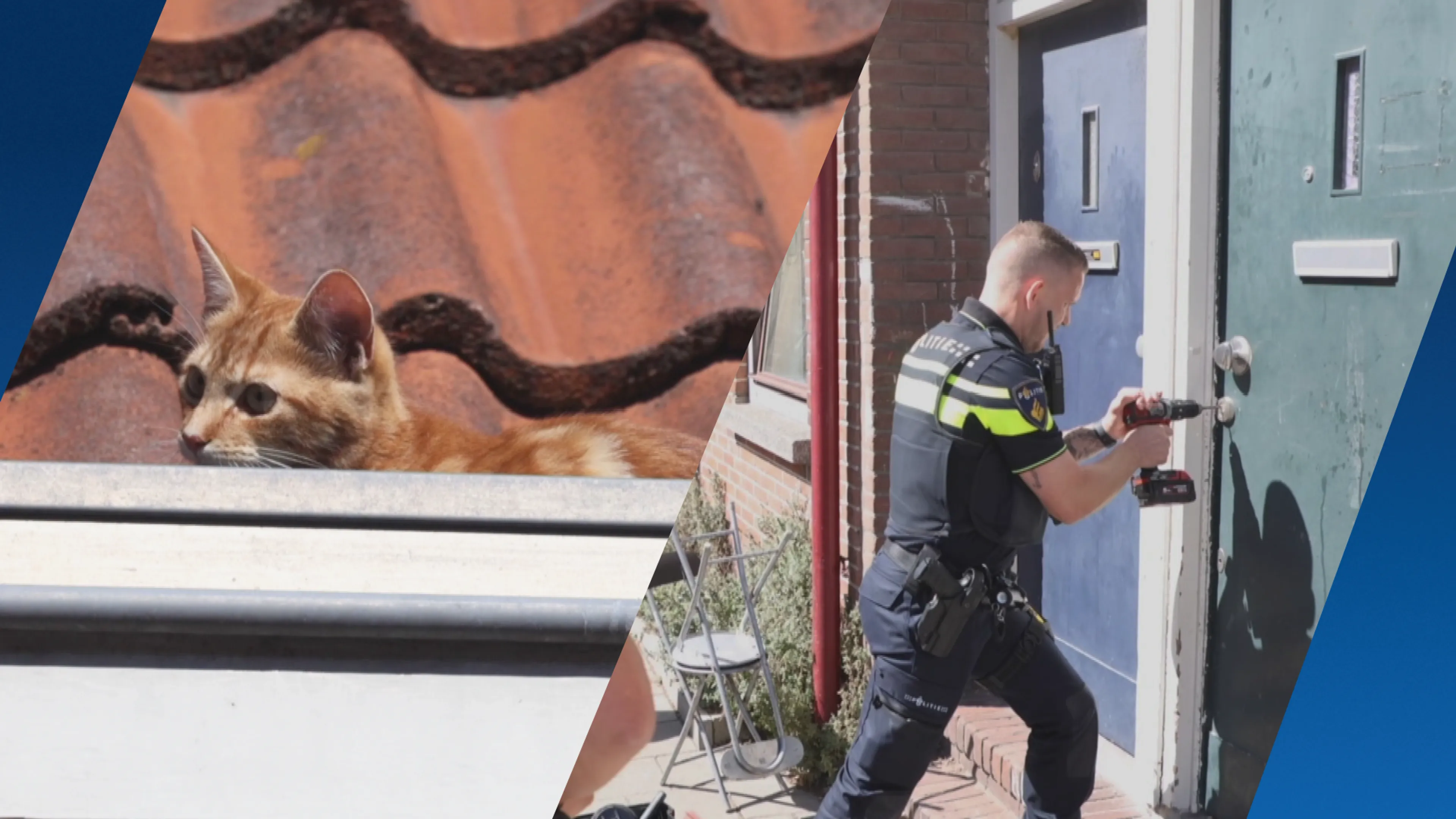 Brandweer haalt kat uit dakgoot en andere katten uit vervuilde woning