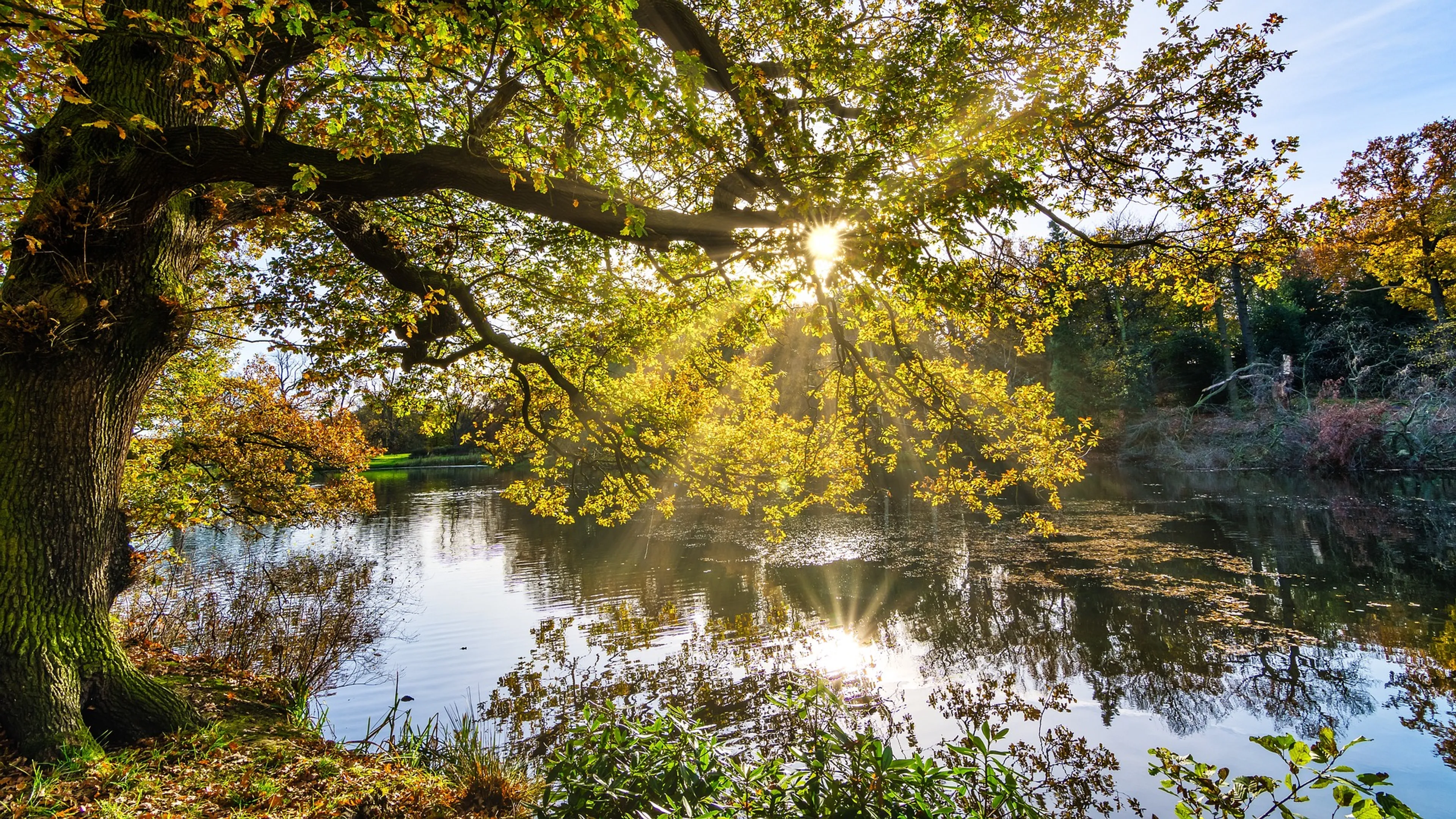 Laatste weekend genieten van de zon: volgende week echt herfstweer