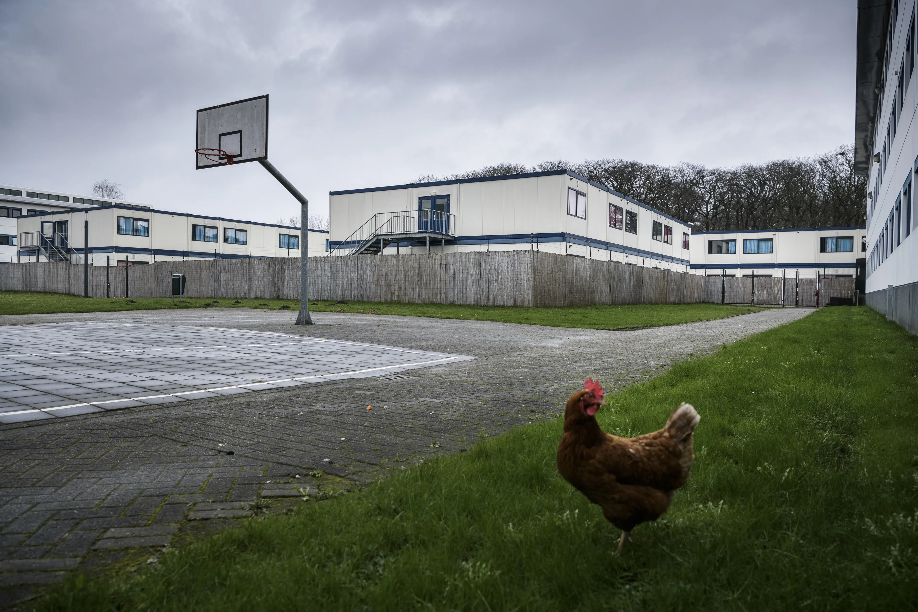 Medewerkers speciale asiellocatie gebruiken geweld terwijl dat niet mag