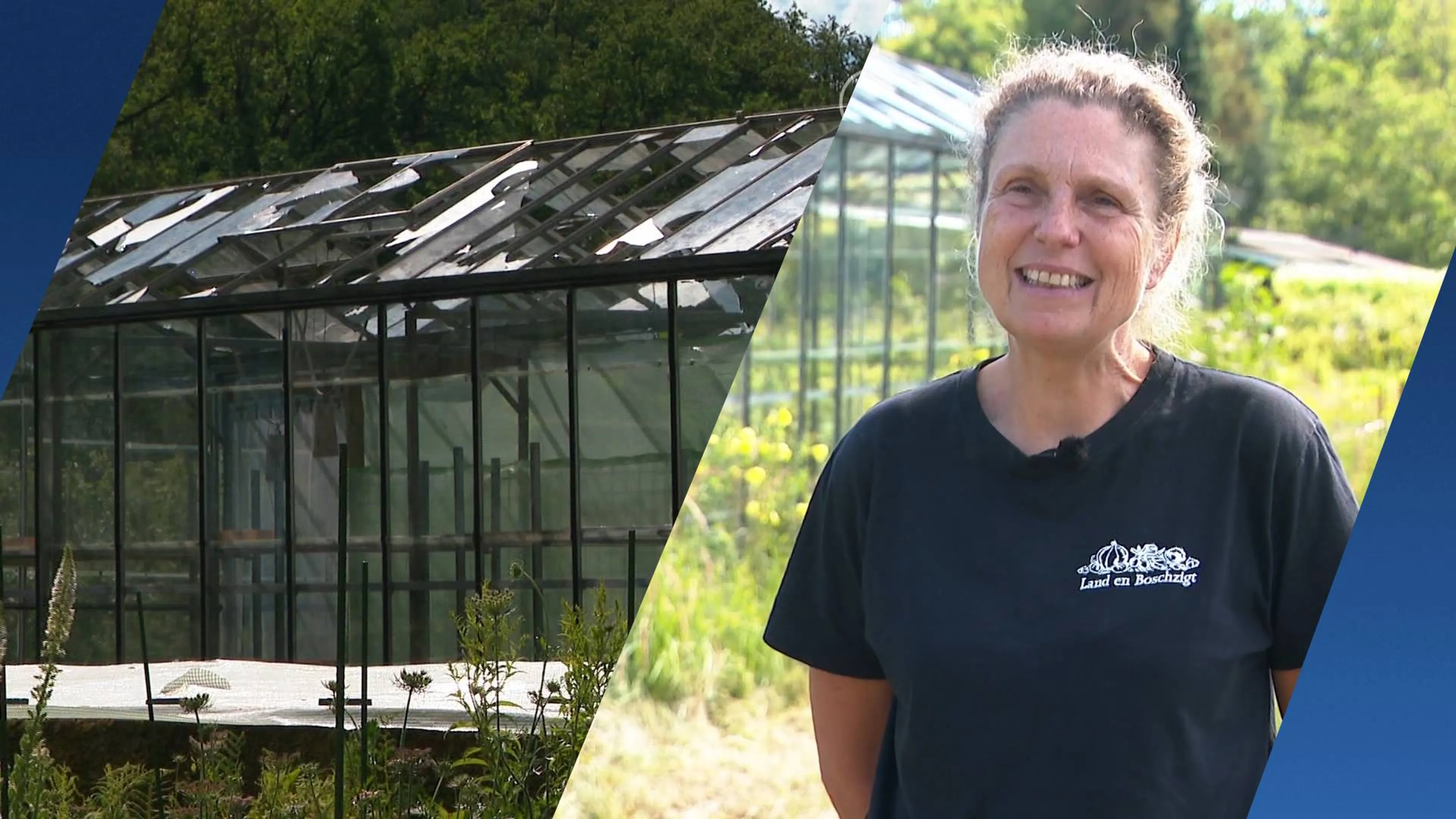 Na enorme hagelschade krijgt tuinderij hartverwarmende steun