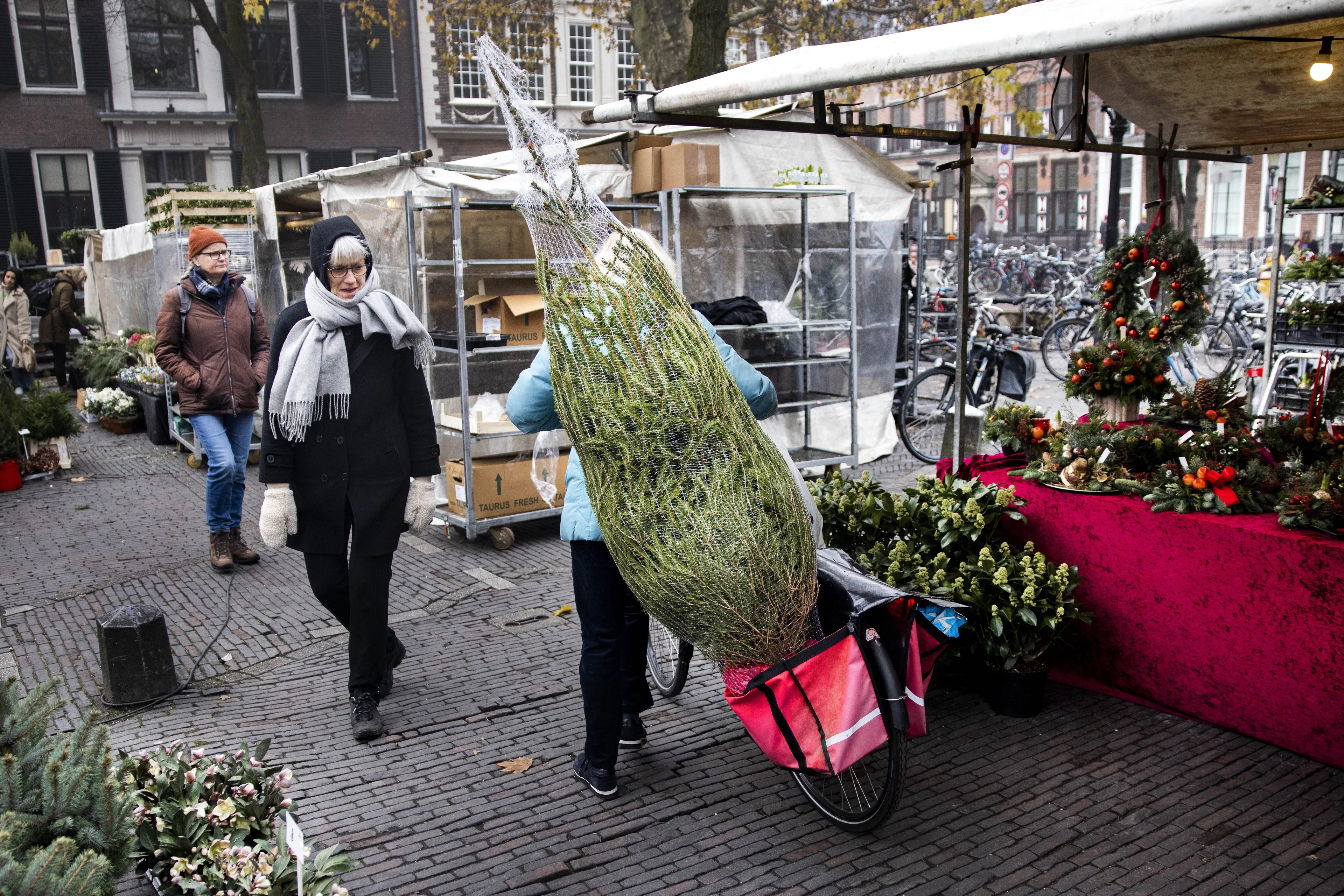 Wie een echte kerstboom wil, betaalt dit jaar flink meer