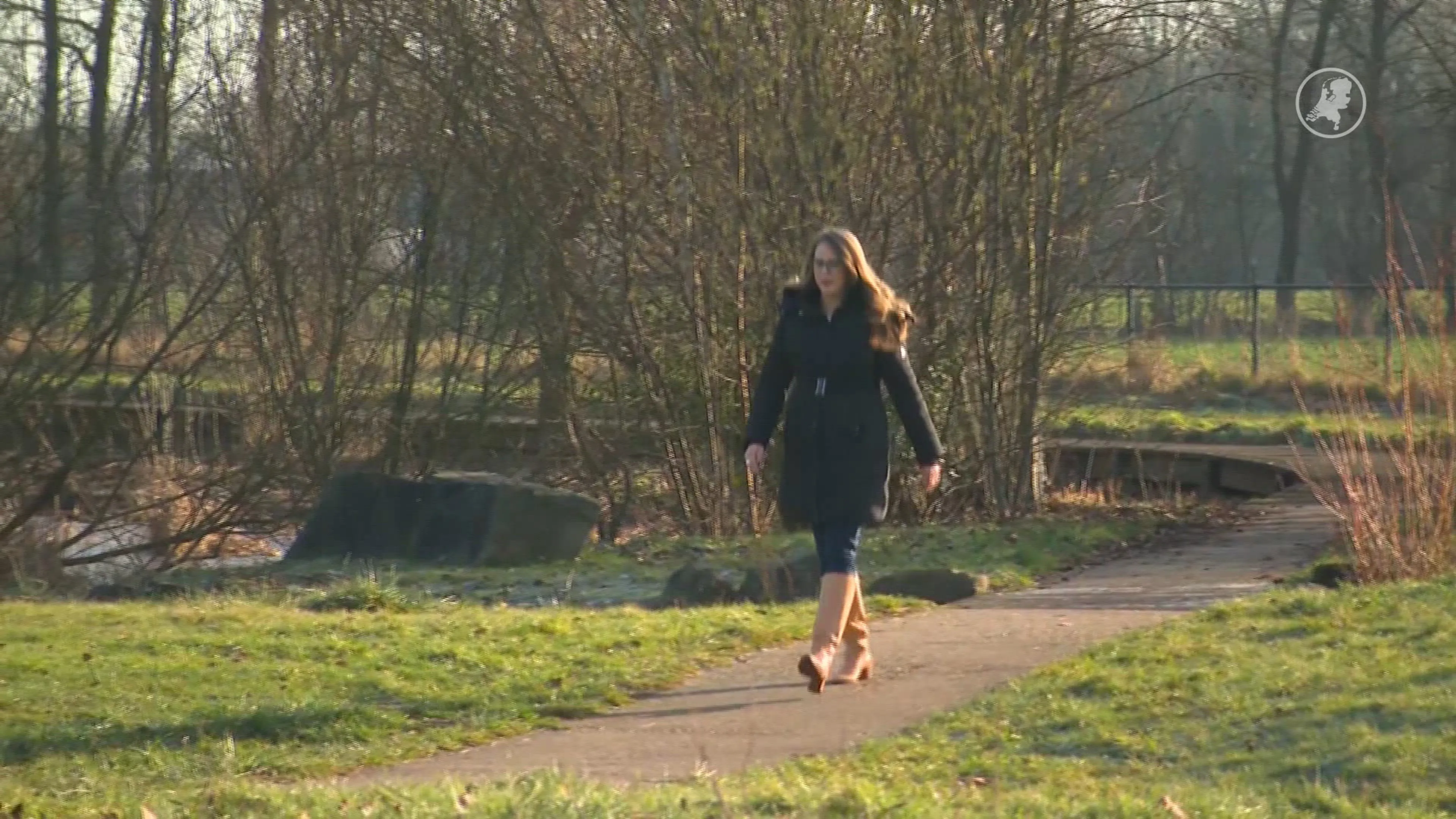 ‘In één klap wees’: kind van femicideslachtoffer in gesprek met Kamerleden