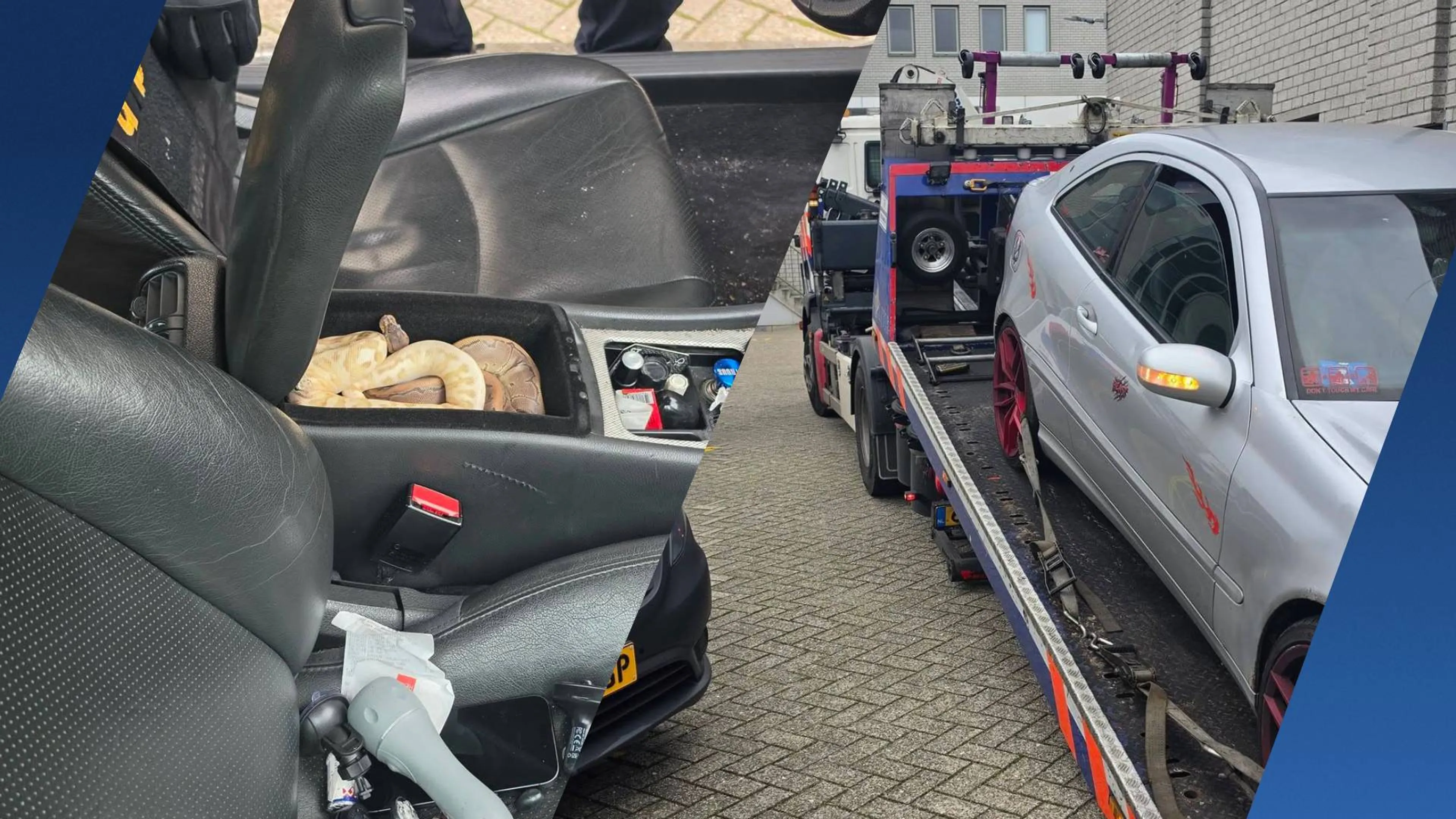 Politie vindt twee pythons in middenconsole van auto