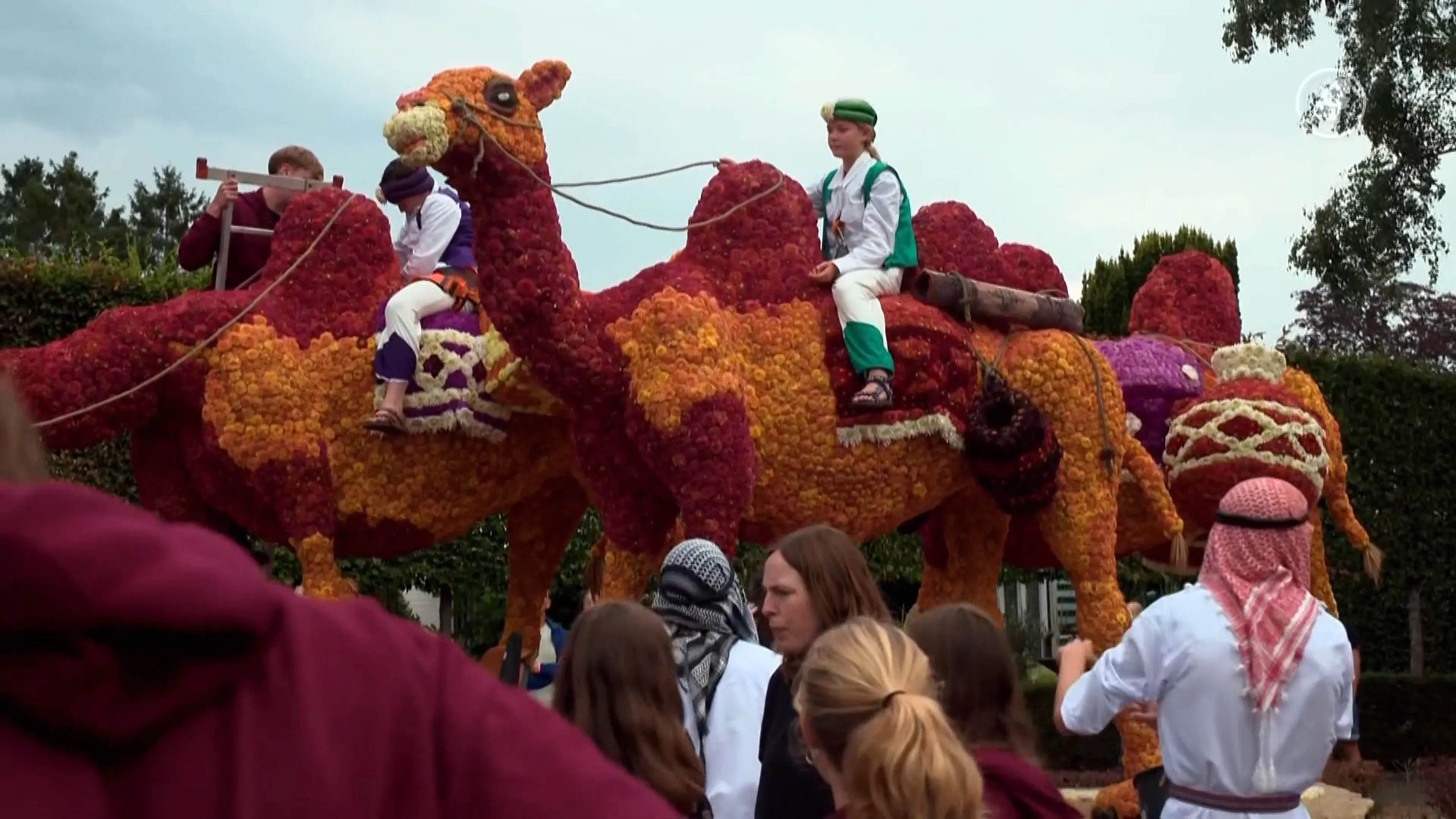 Ook bloemencorso's hebben last van droogte: 'Moeten creatief zijn'