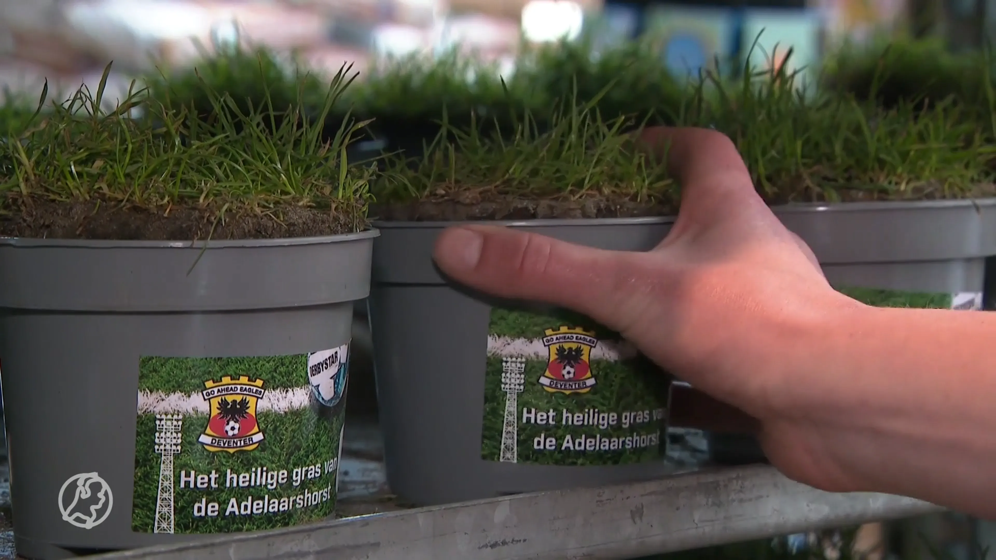 Historische grond? Tuincentrum Deventer verkoopt stukjes voetbalveld uit stadion Go Ahead Eagles
