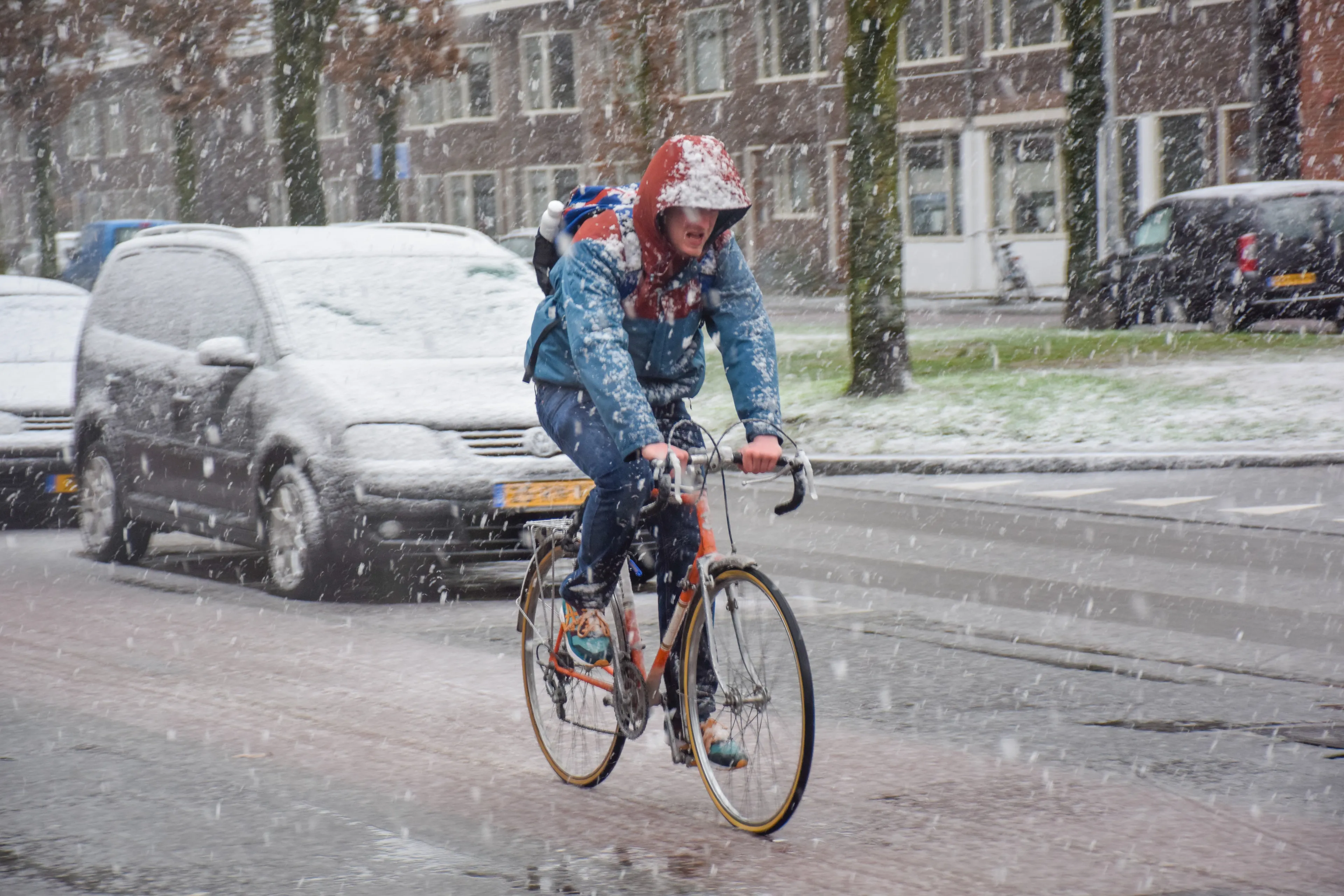 Sneeuw gaat over in regen, volgende week opnieuw wit