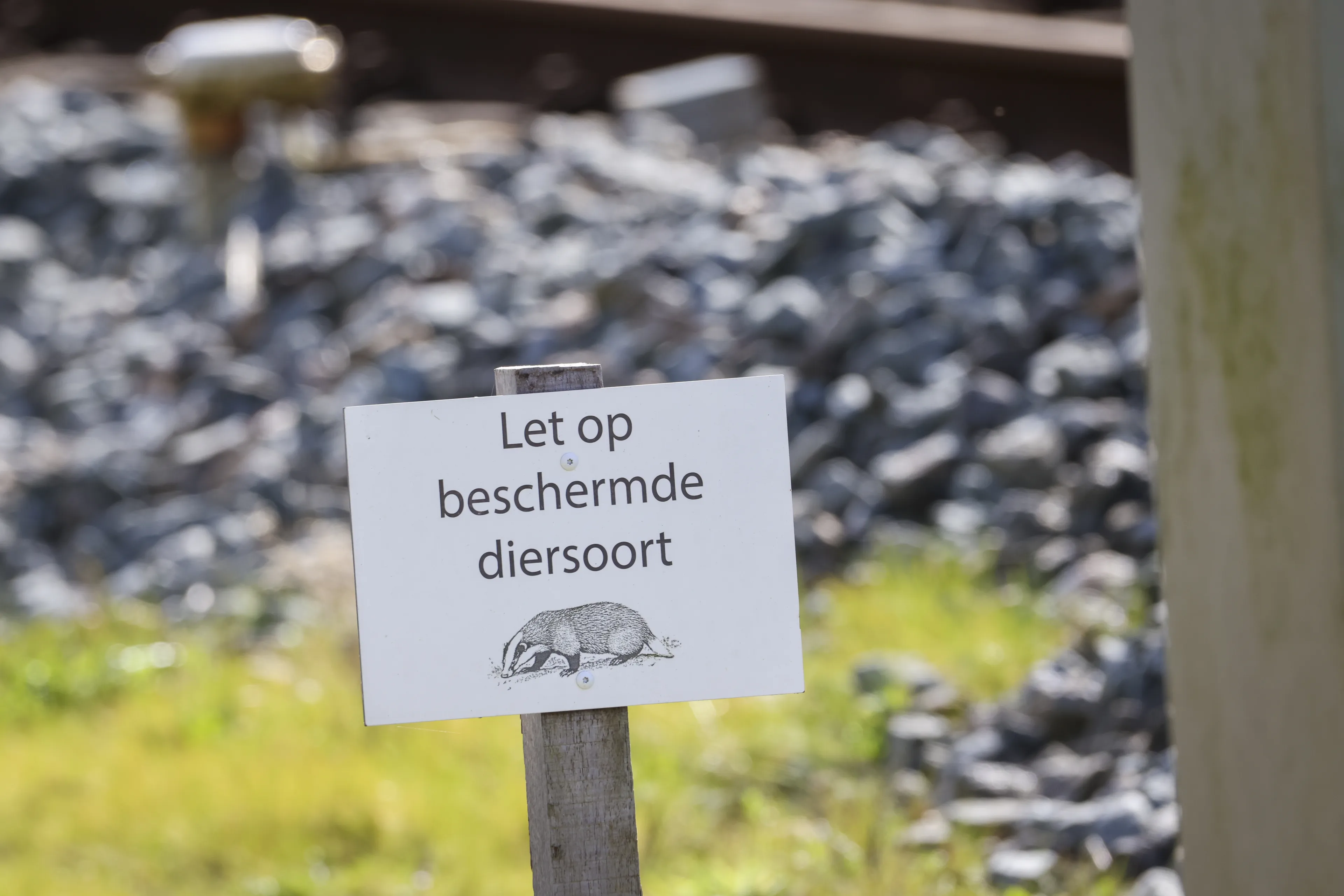Reizigers de das omdoen: tot en met 23 april geen treinen bij Molkwerum