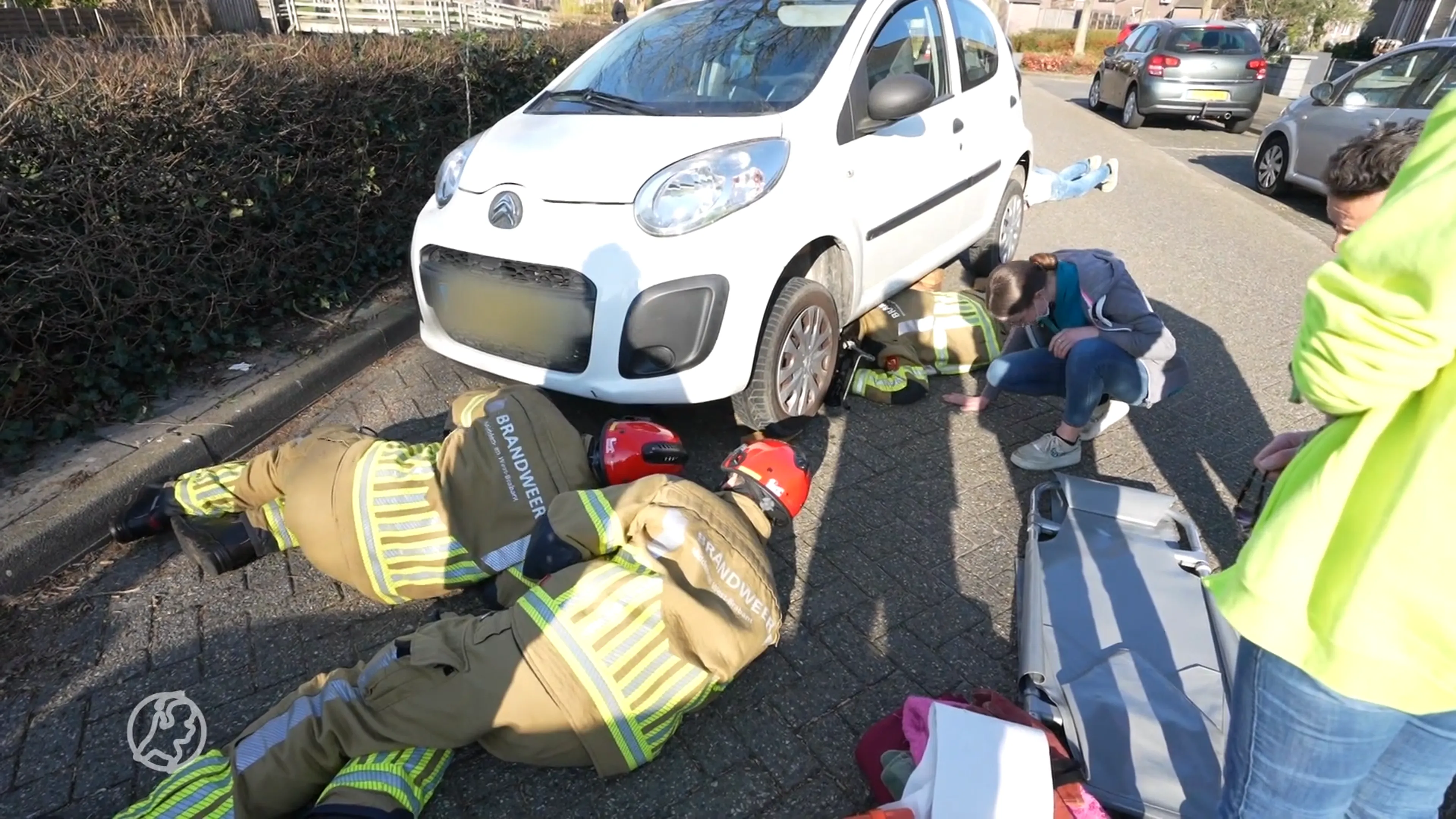 Hond meegesleurd aan achterpootje bij aanrijding in Oosterhout