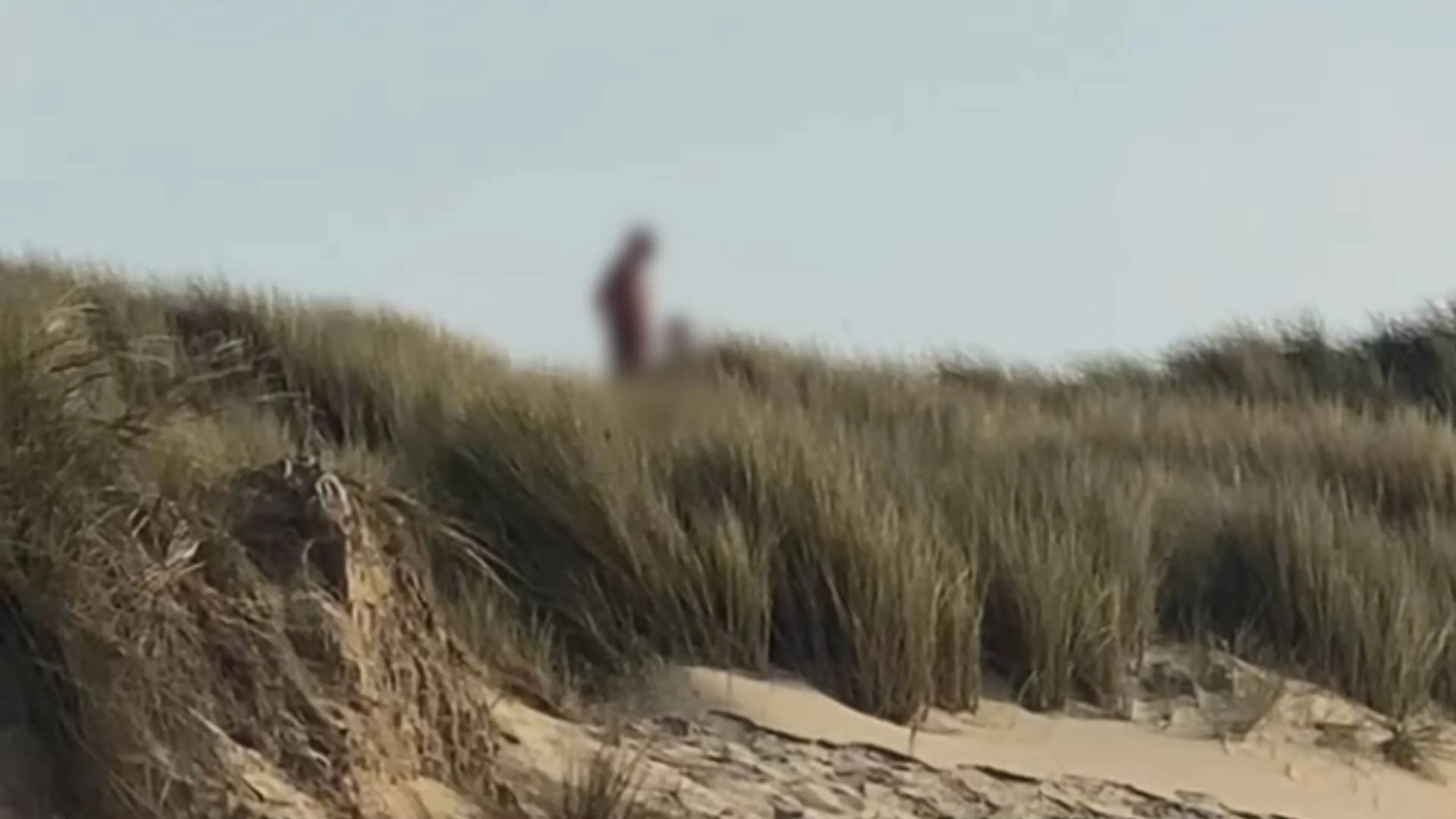 Vrouwenpolder stelt seksverbod in vanwege vele vrijende mensen in duinen bij naaktstrand