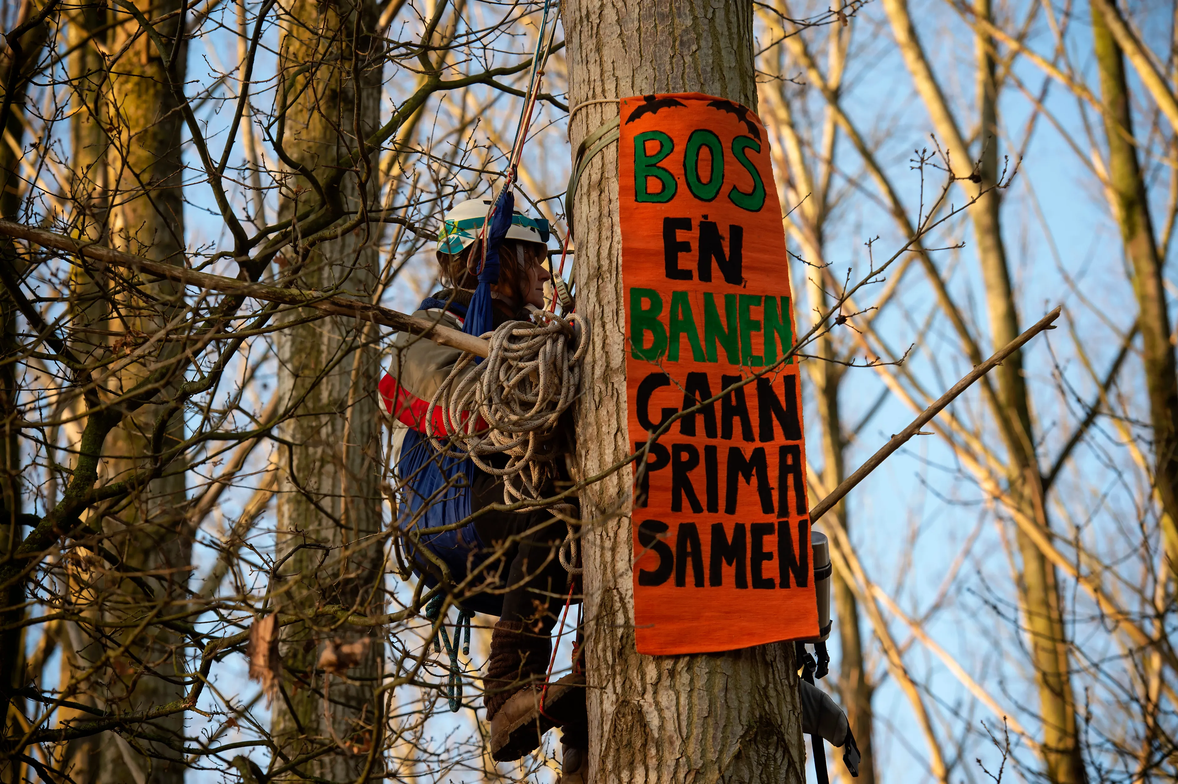Rustige nacht in Sterrebos na zeven arrestaties zaterdagavond