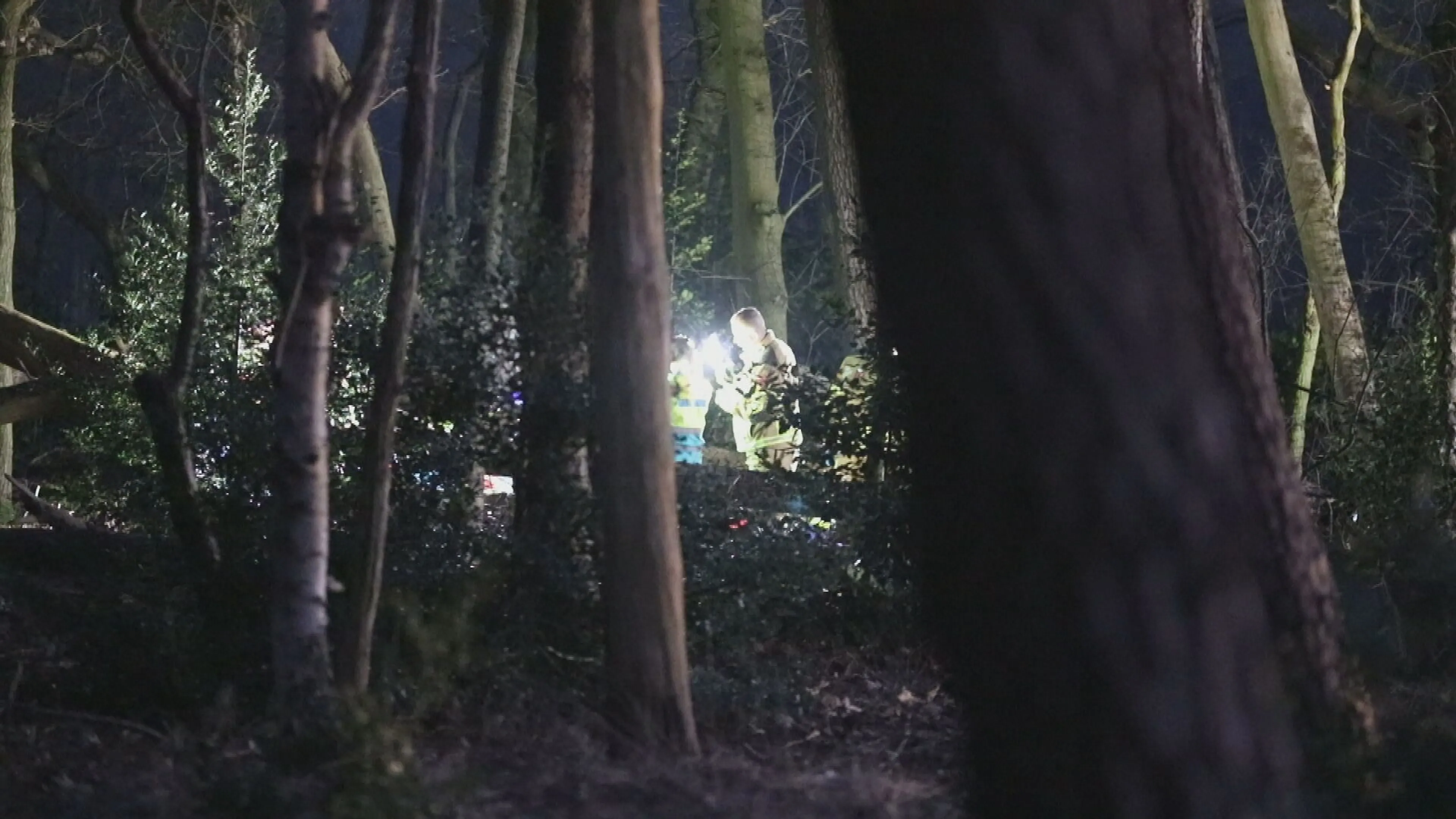 Man uit Schijf overleden nadat boom op hem is gevallen