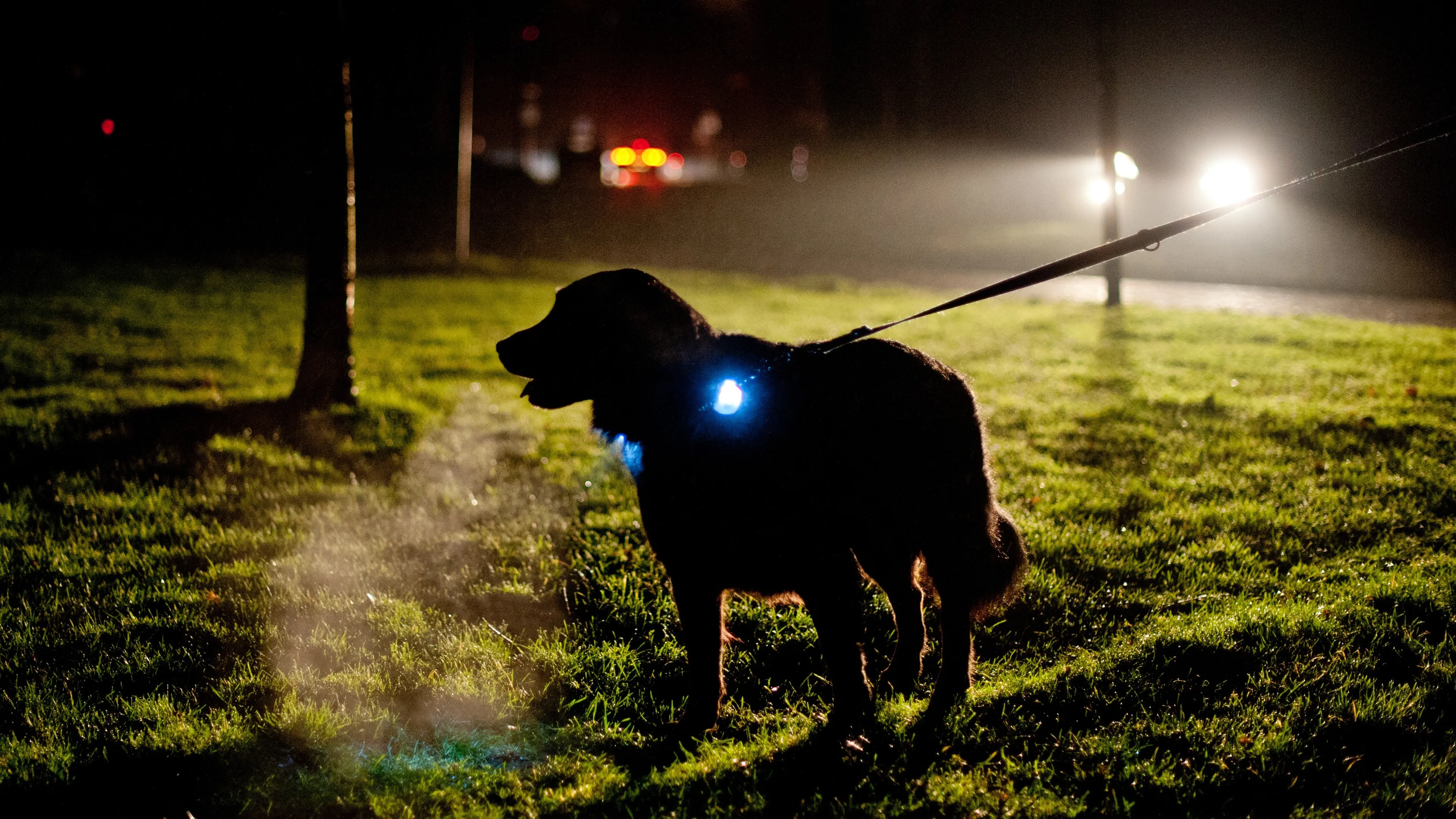 Stroomstoring in Drenthe, meer dan 10.000 adressen getroffen