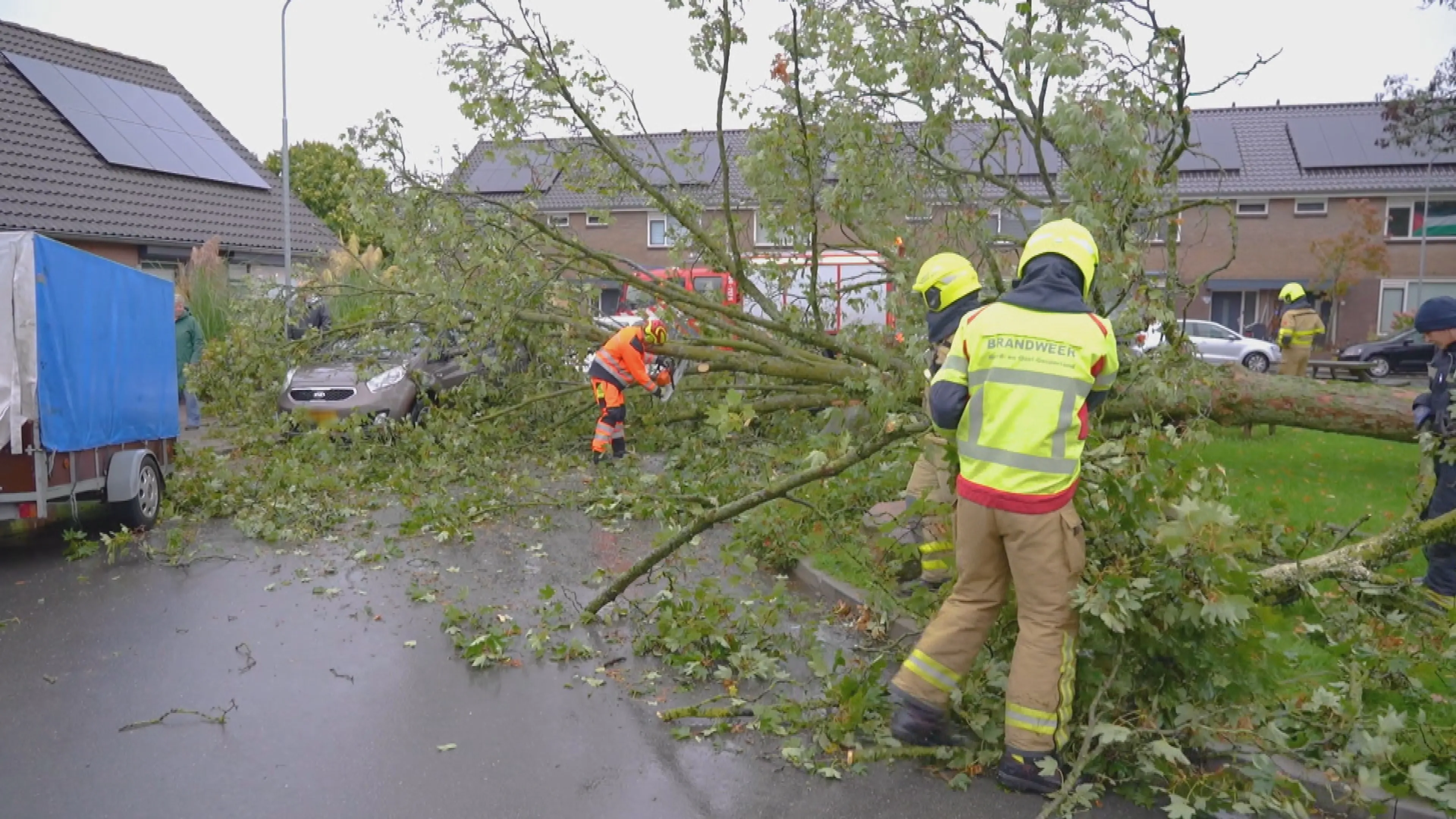 Storm Amy: vluchten gecanceld, omgewaaide bomen en flinke schade door windvlaag
