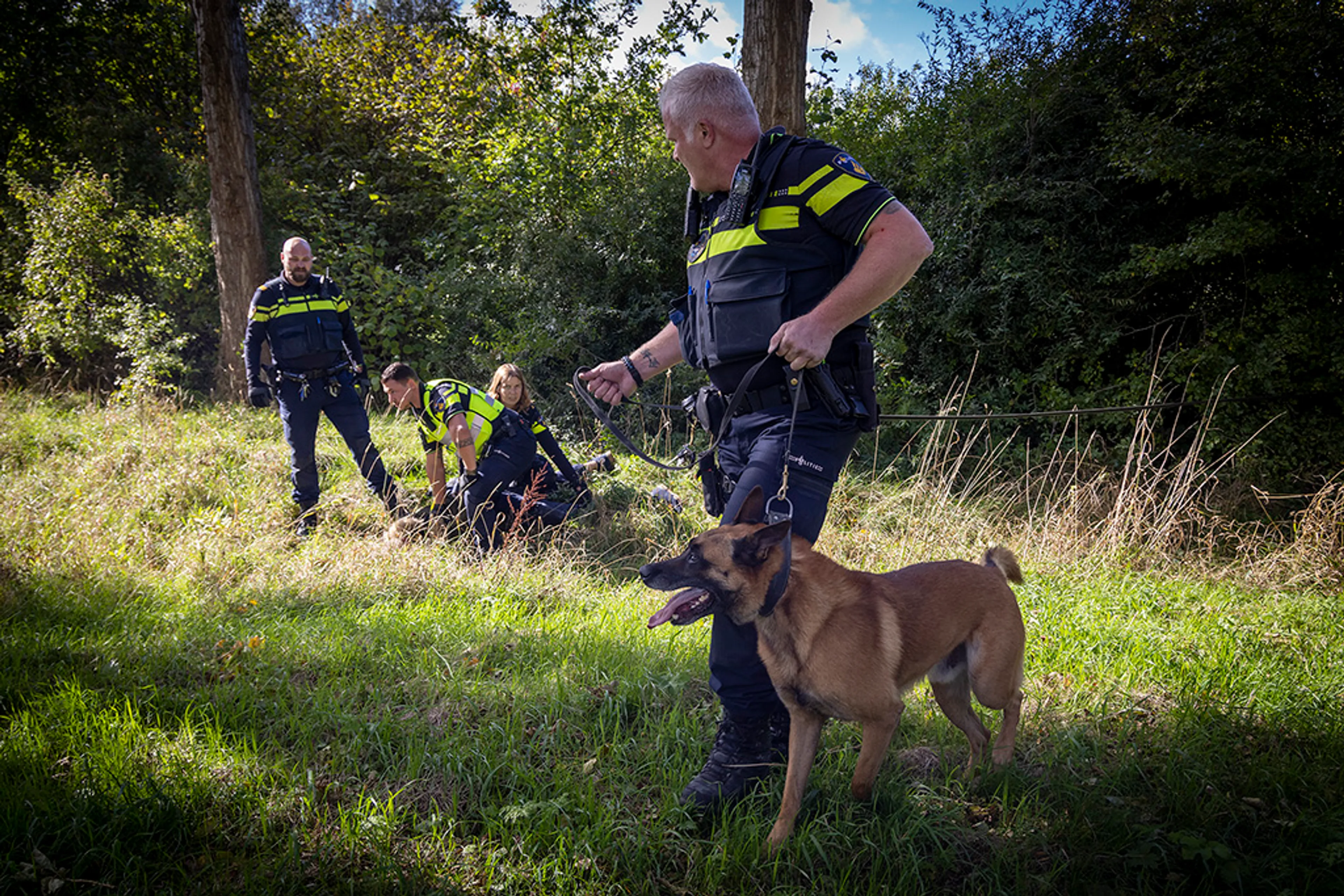 Politiehond speurt in bosjes verstopte fietsendief op in Haarlem
