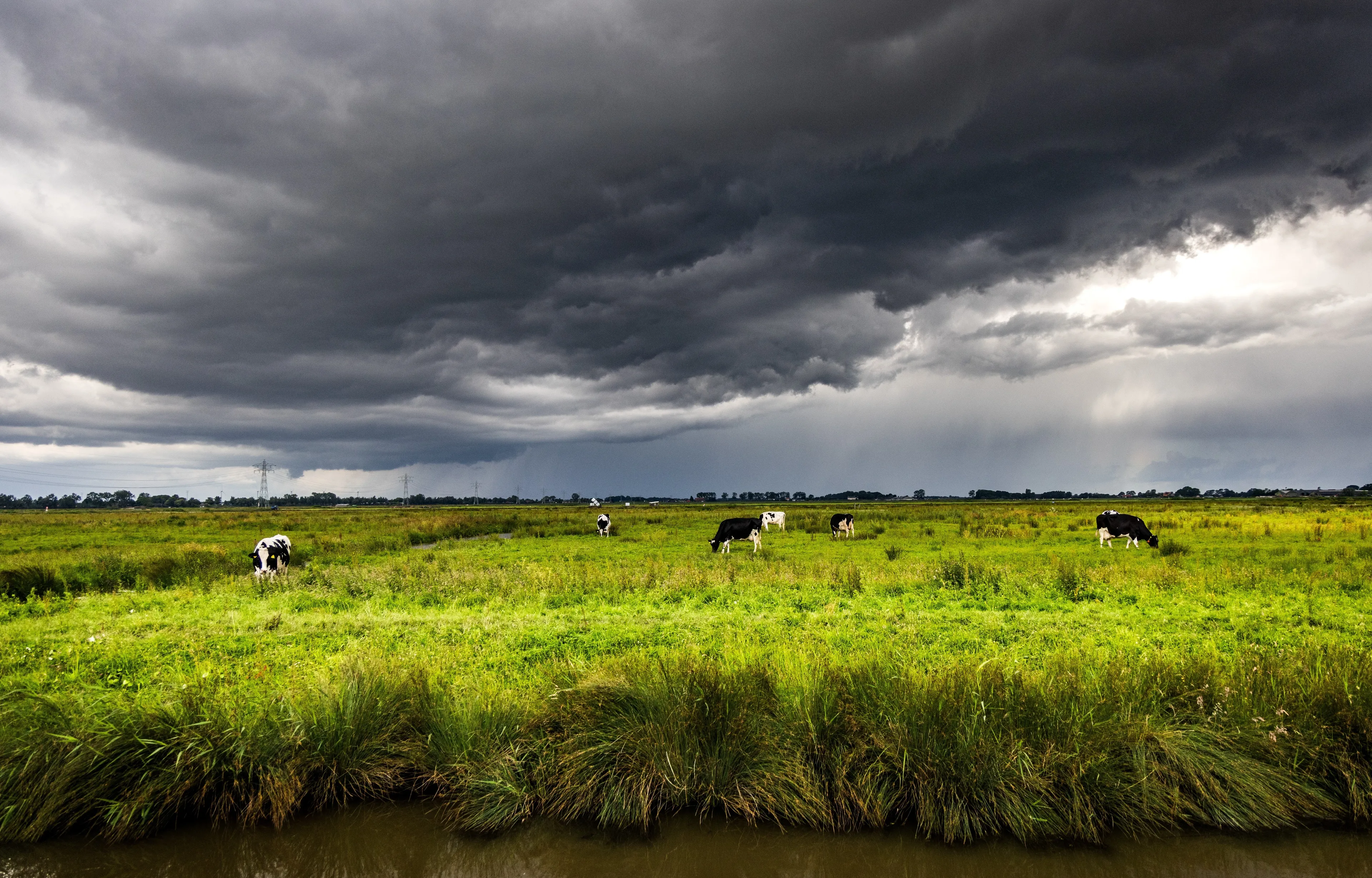 Nieuwe mestplannen Wiersma: mestgezant en meer ruimte voor uitrijden