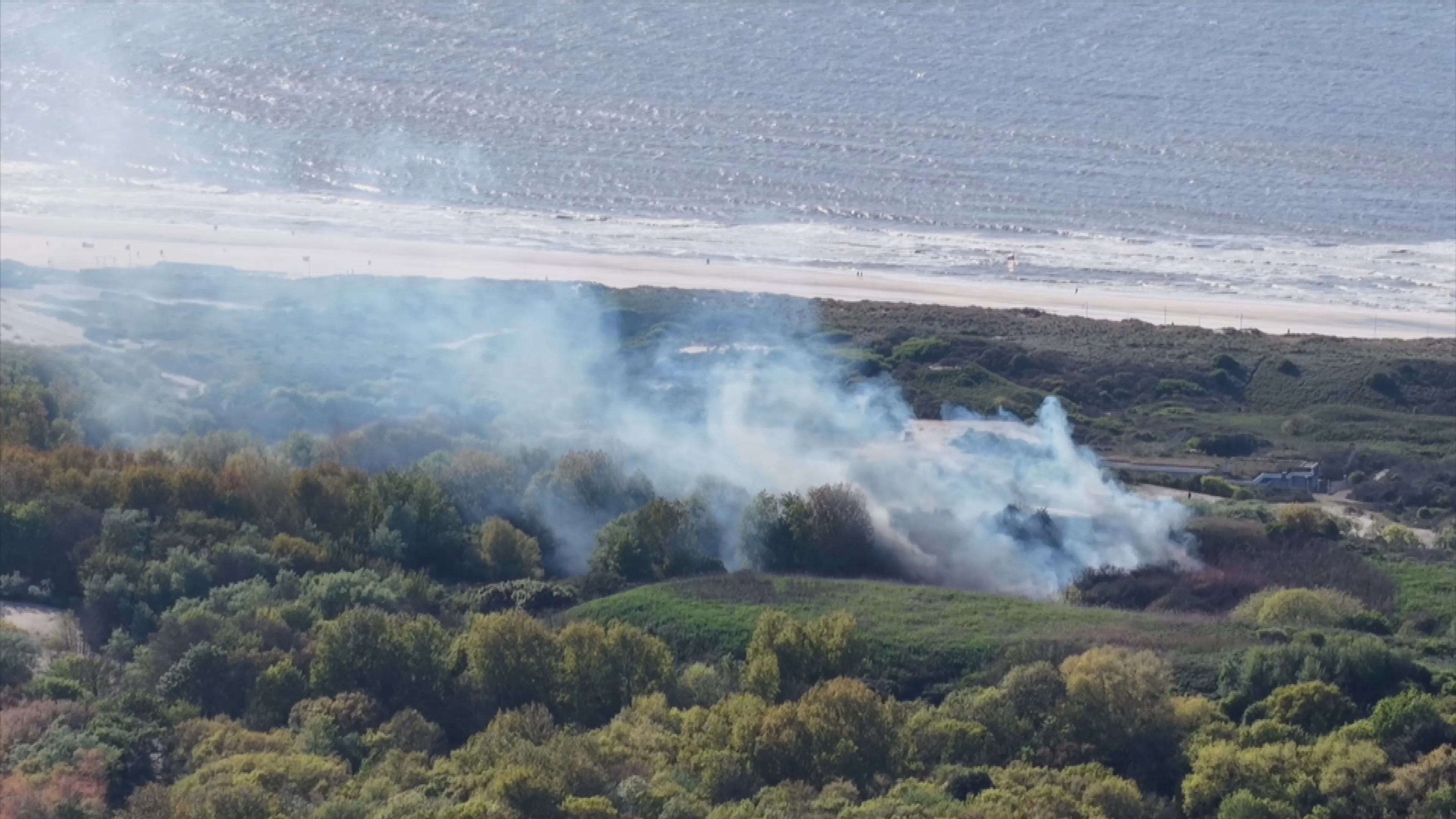 Flinke duinbrand Den Haag onder controle, brandweer nog wel waakzaam