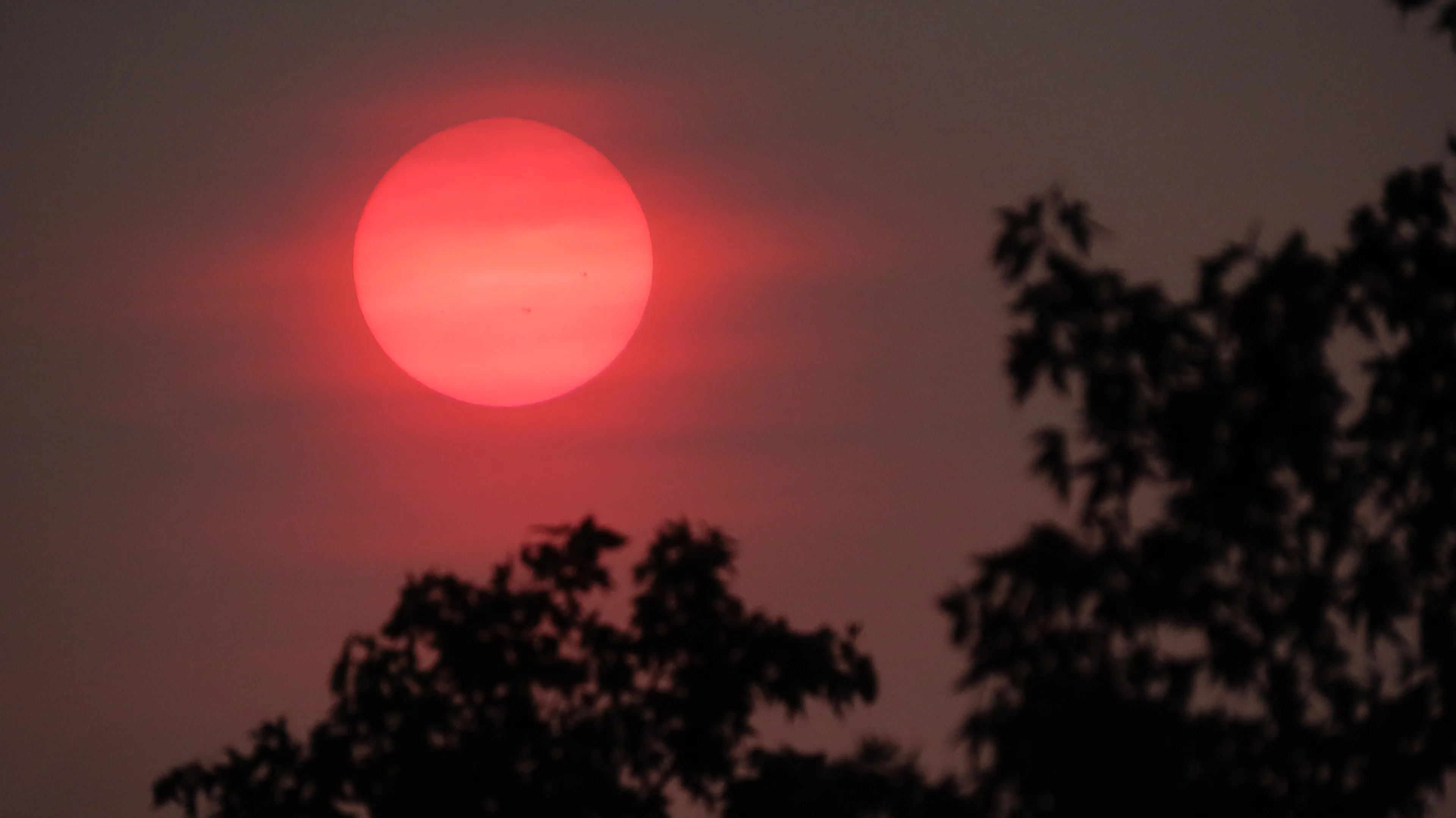 Flinke wolk Saharastof onderweg naar Nederland: dit merk je ervan