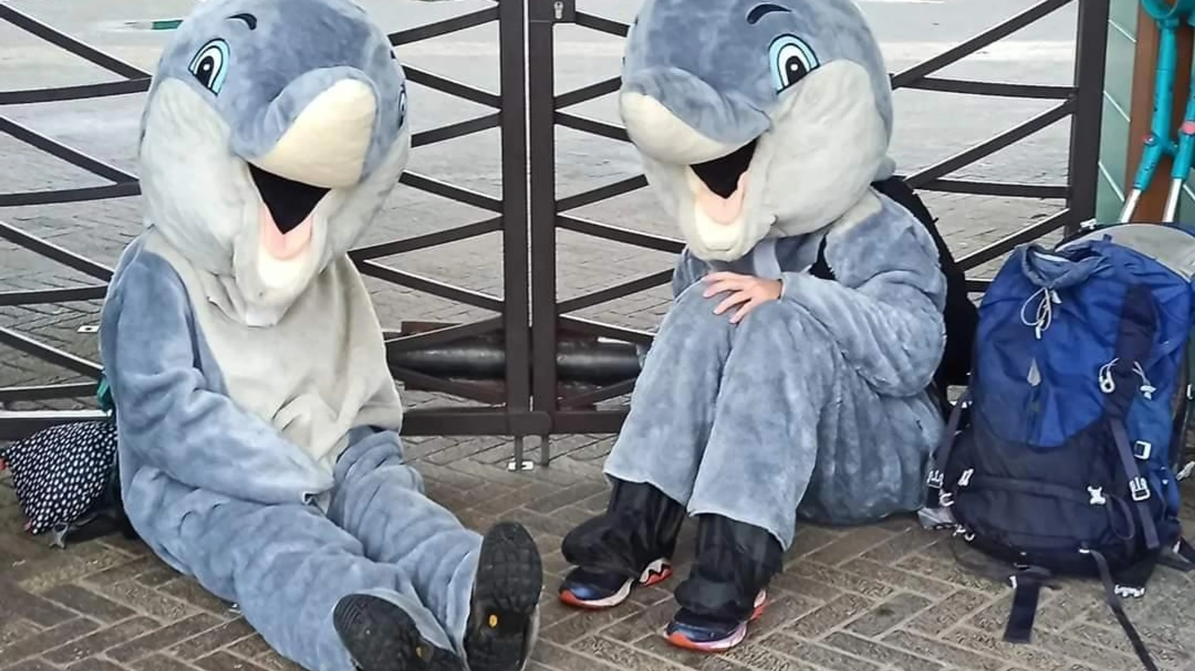 Dierenactivisten blokkeren ingangen Dolfinarium in Harderwijk, dierenpark boos