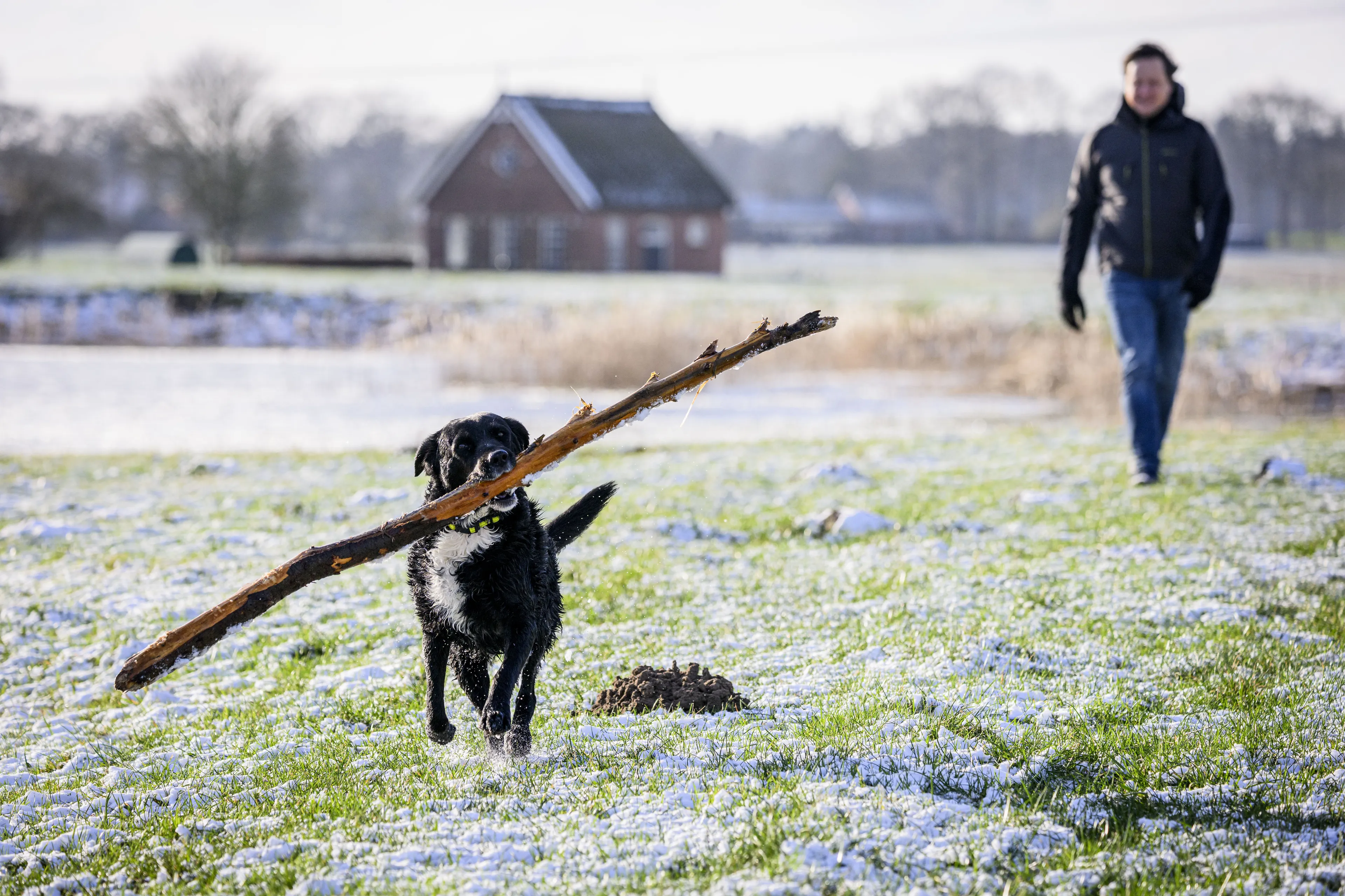 Fraai winterweer met maandag lokaal zelfs sneeuw