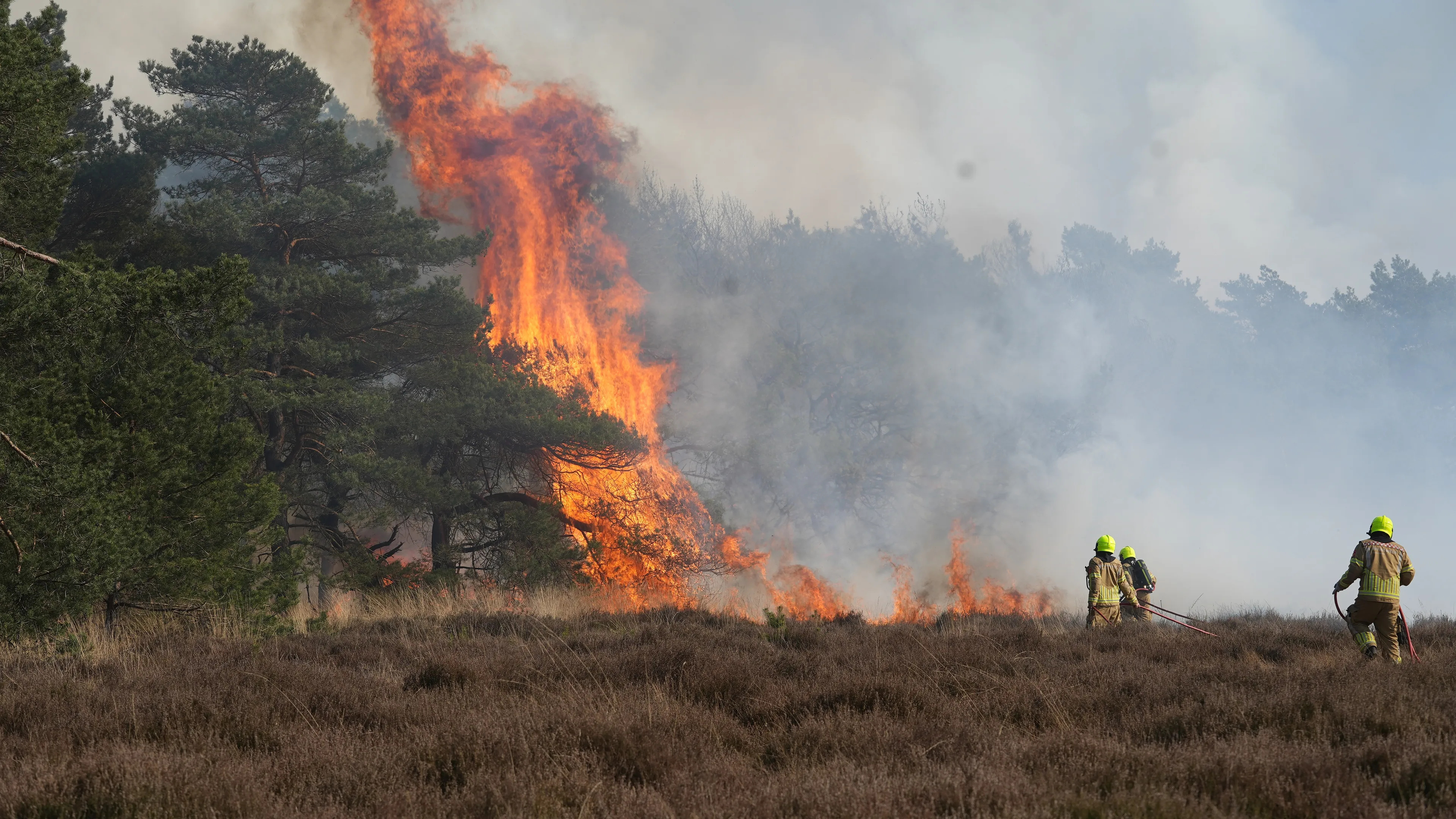 Risico natuurbranden in noordoosten van Nederland opgeschaald