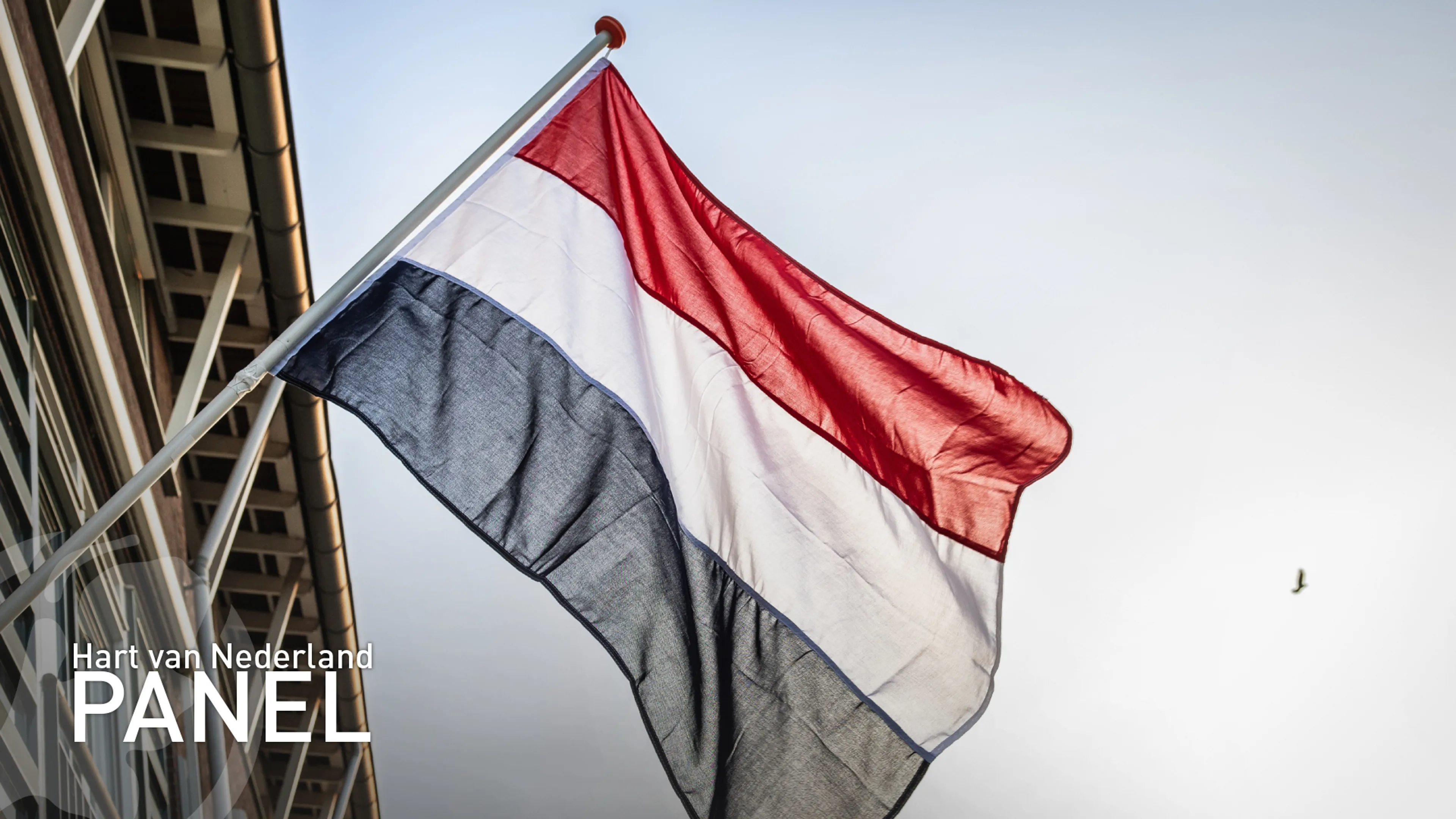 Nederlanders bezorgd om vrijheid, vooral door polarisatie en oorlogen
